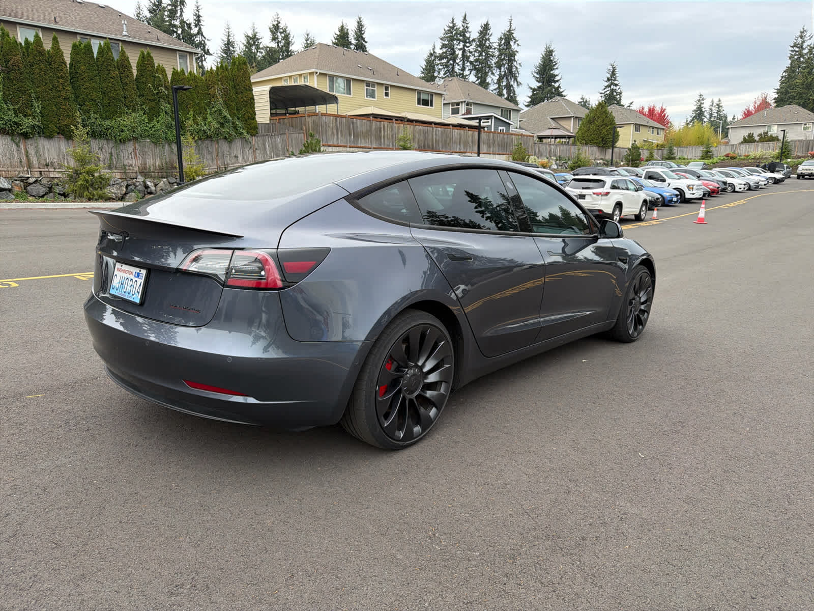 2022 Tesla Model 3 Performance photo 4