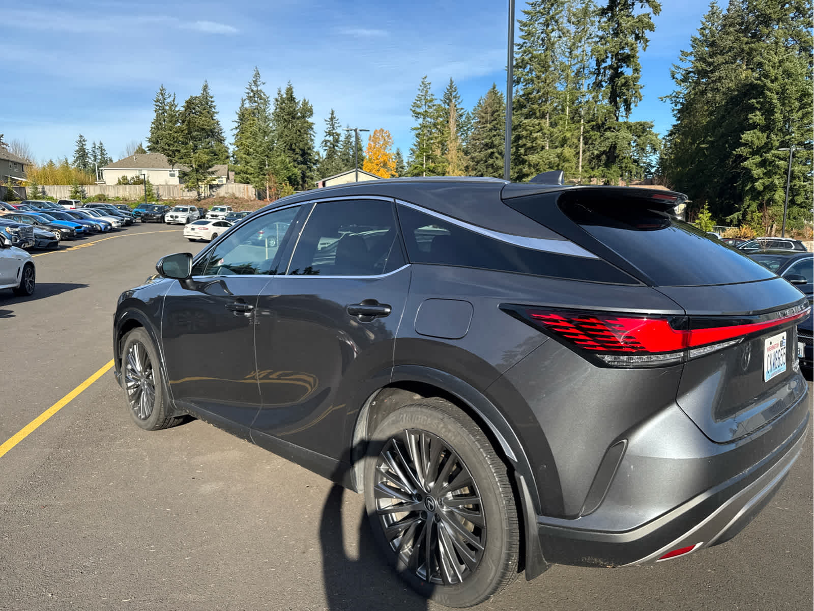 2024 Lexus RX 350 Luxury photo 4