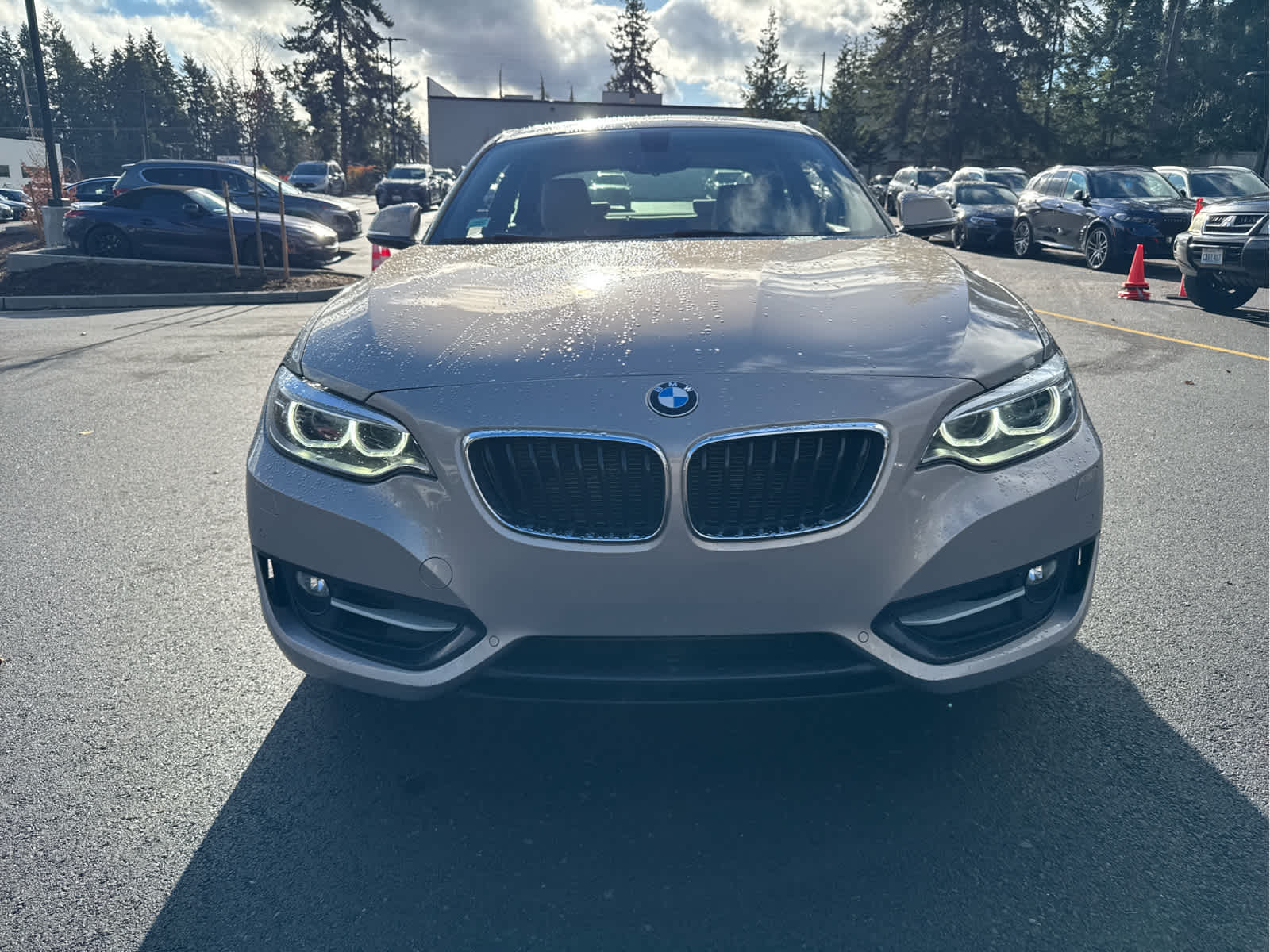 2016 Bmw 228i xDrive Coupe photo 2