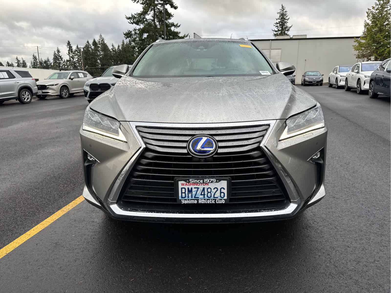 2019 Lexus RX 450hL Luxury photo 2