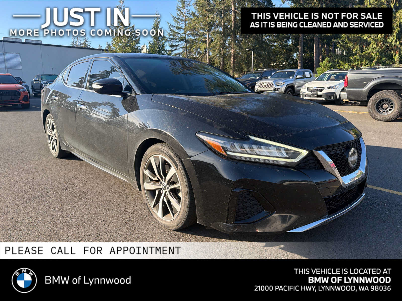 2023 Nissan Maxima