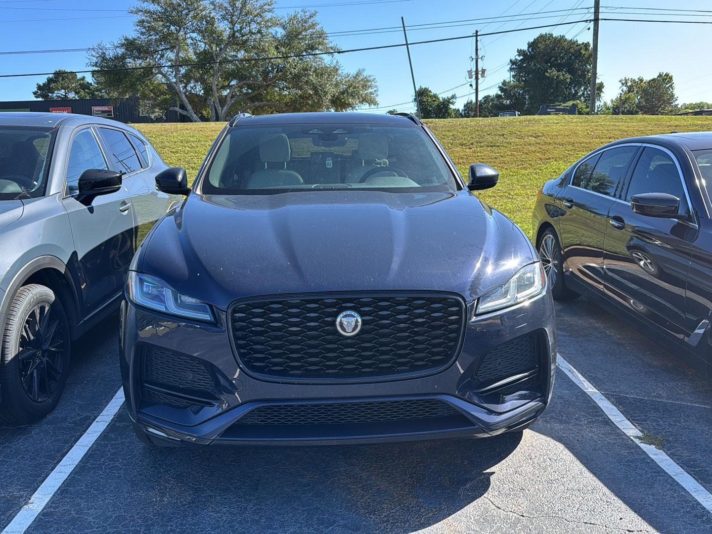 2023 Jaguar F-PACE P250 S photo 3