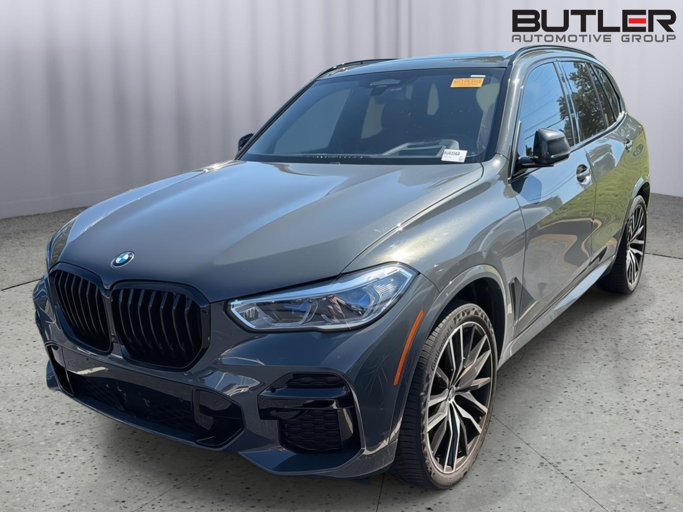 2023 BMW X5 M50i's photo