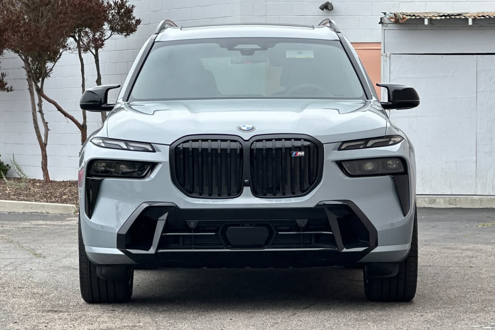 Thumbnail: 2025 BMW X7 - 10