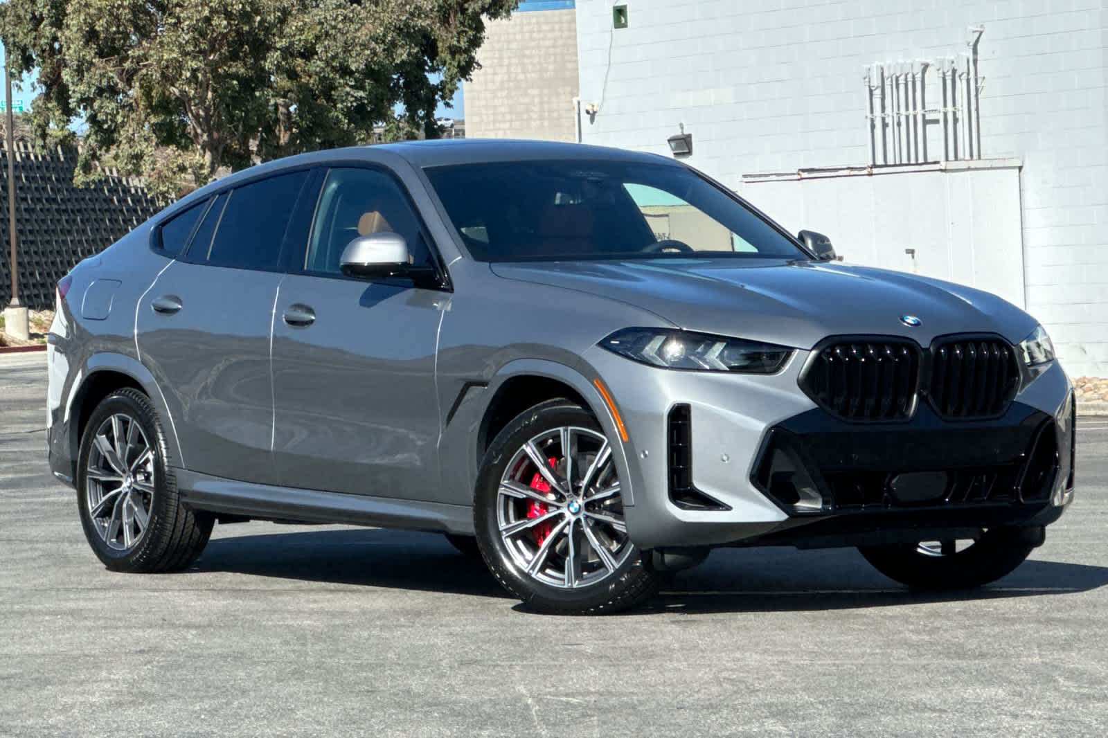 Thumbnail: 2026 BMW X6 - 9