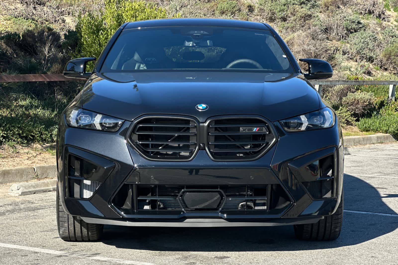 Thumbnail: 2026 BMW X6 - 10