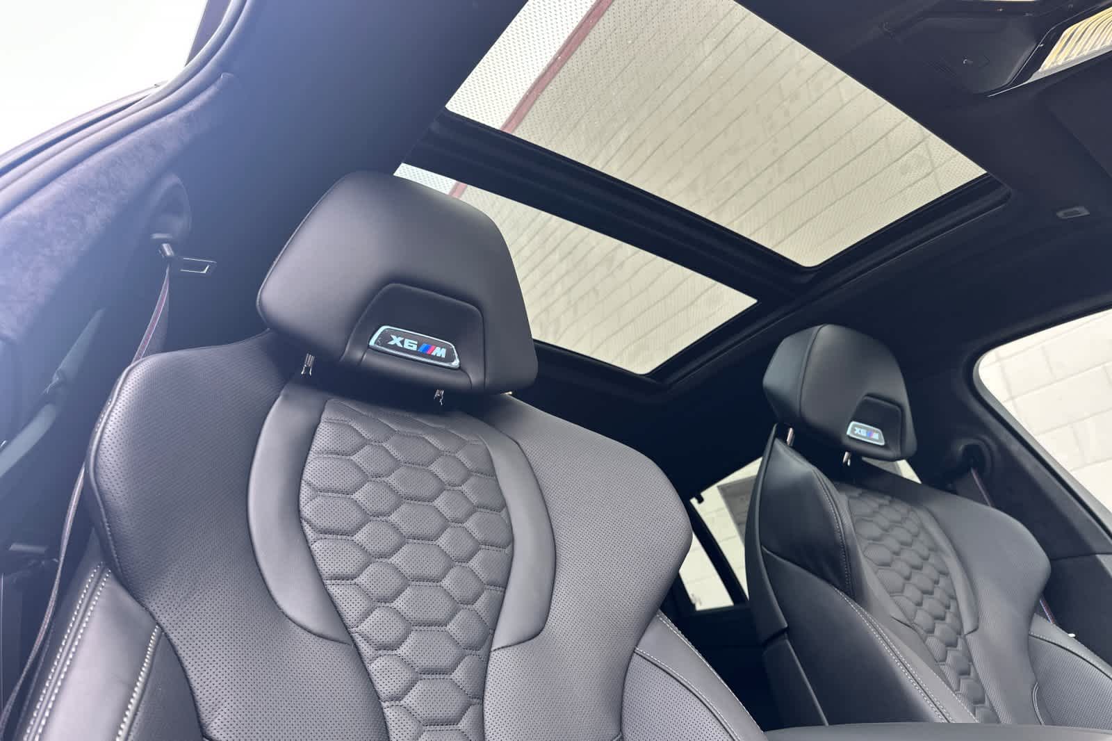 Thumbnail: 2026 BMW X6 - 19