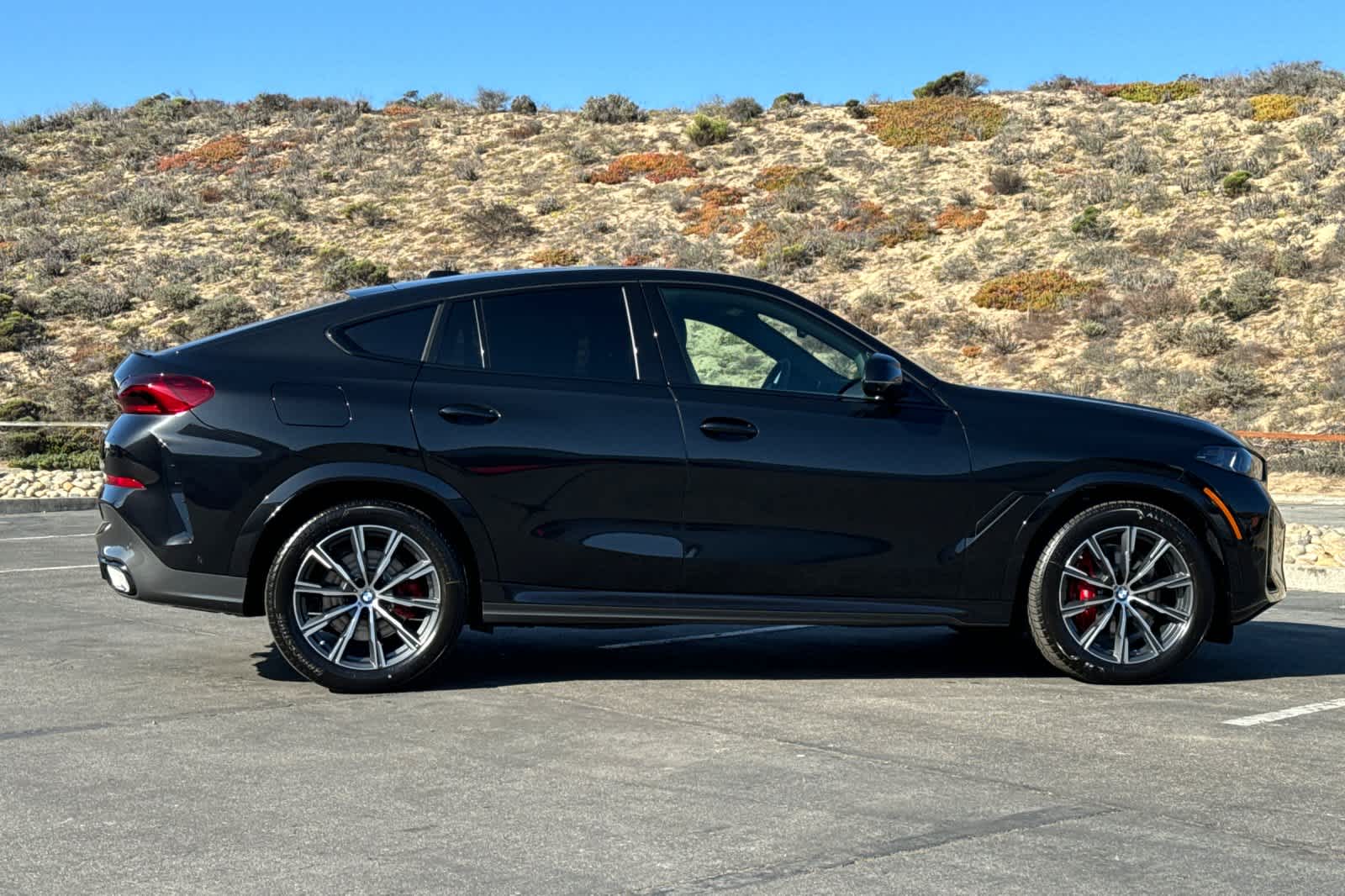 Thumbnail: 2026 BMW X6 - 8