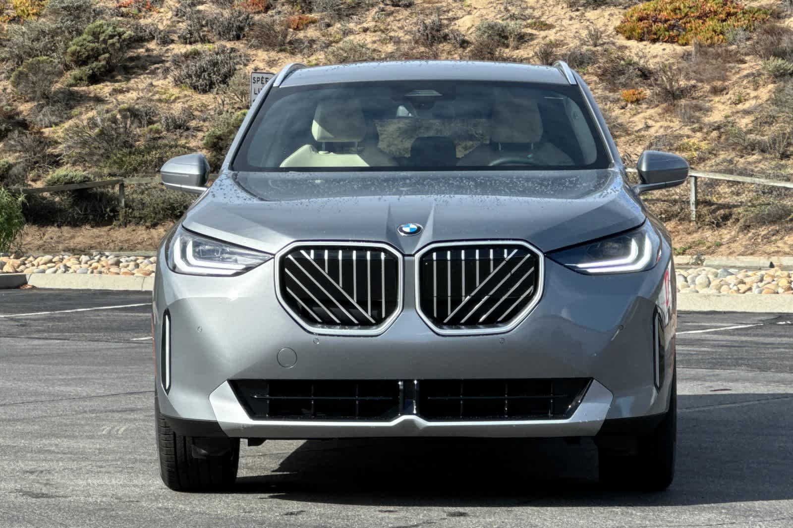 Thumbnail: 2026 BMW X3 - 10