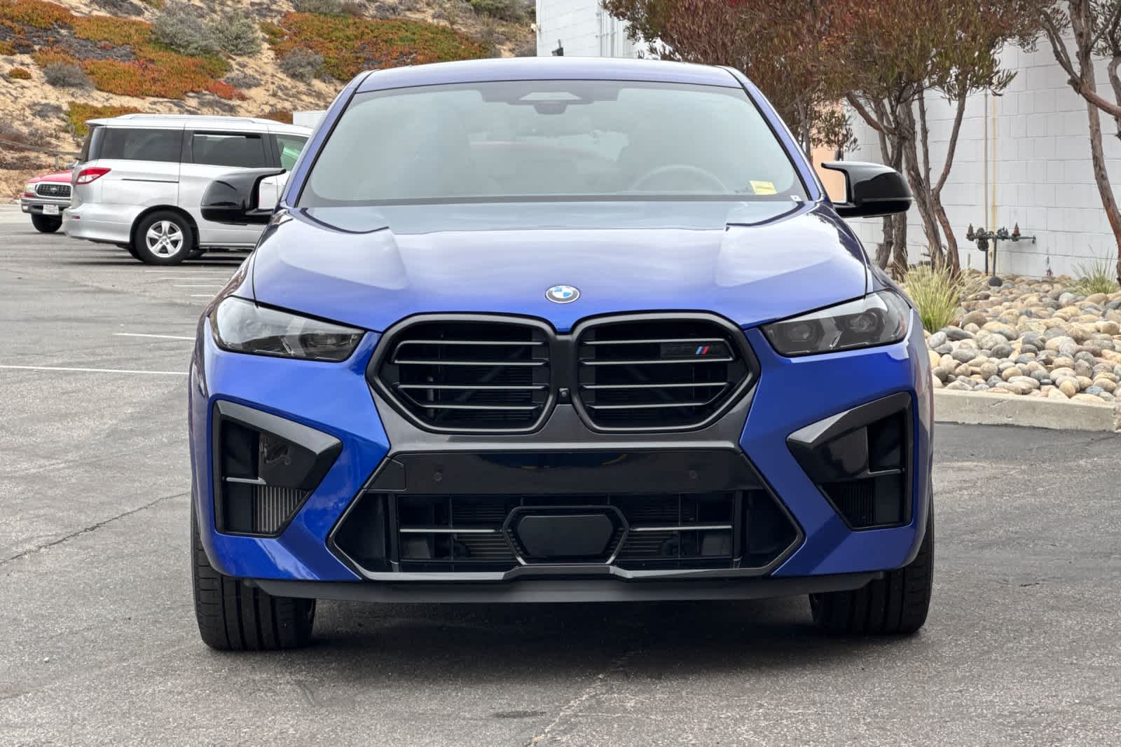 Thumbnail: 2024 BMW X6 - 10