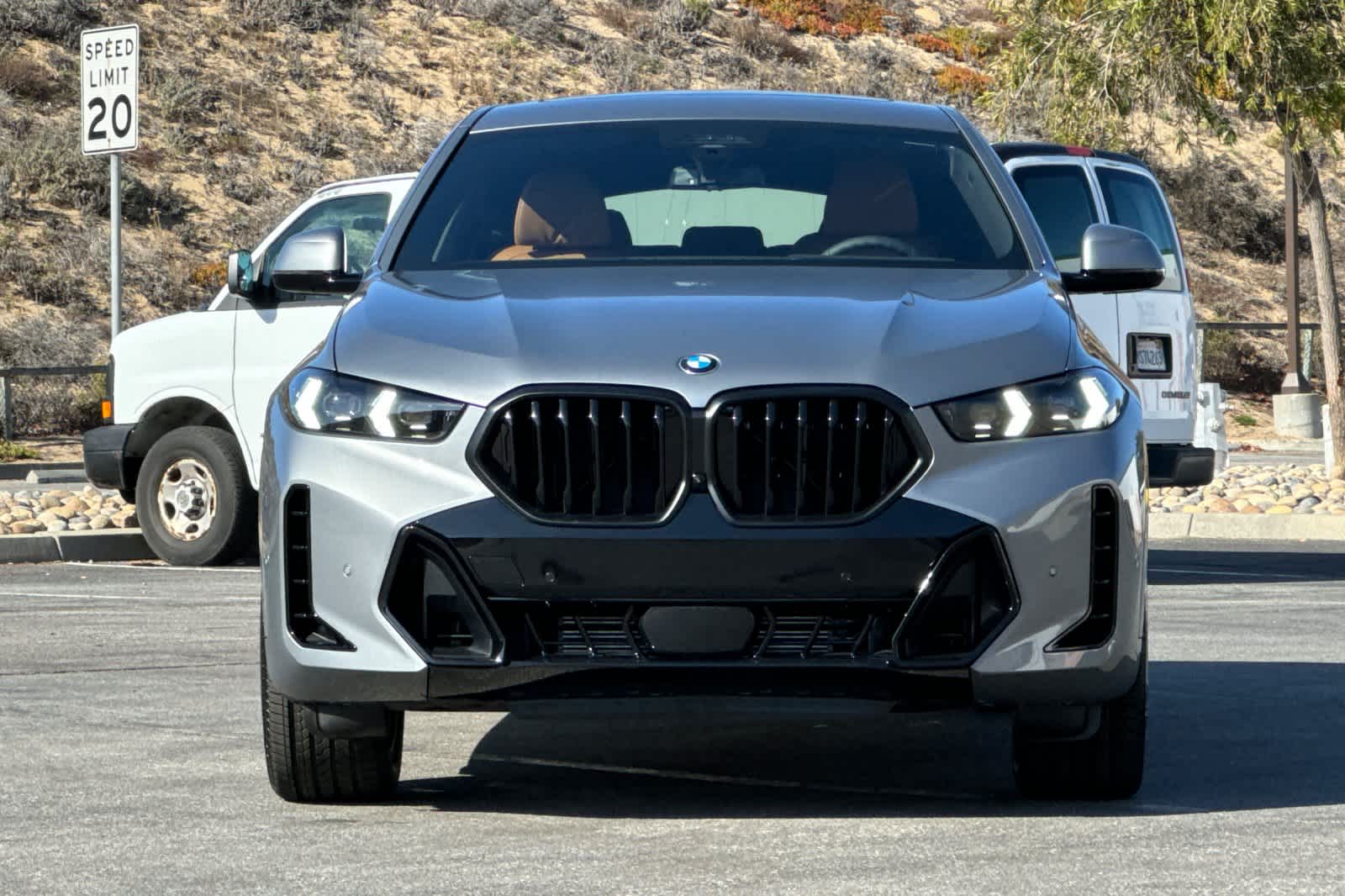 Thumbnail: 2026 BMW X6 - 10