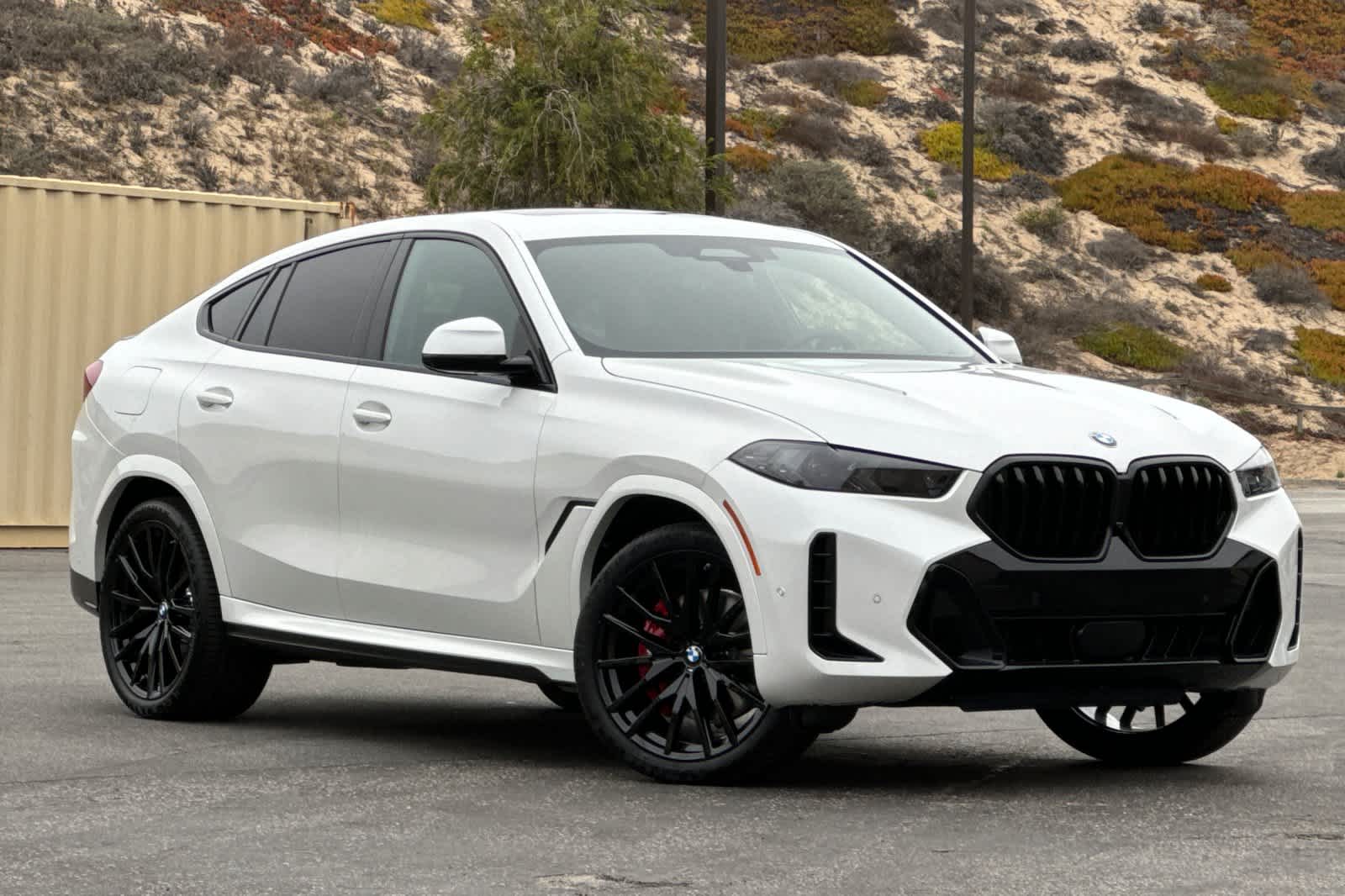 Thumbnail: 2026 BMW X6 - 9