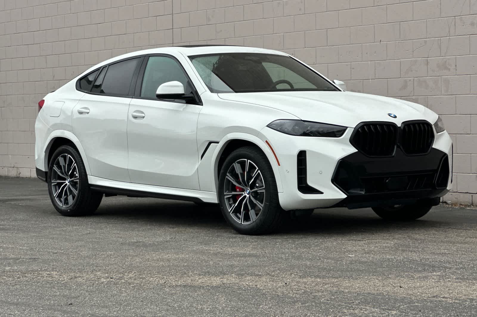 Thumbnail: 2026 BMW X6 - 9