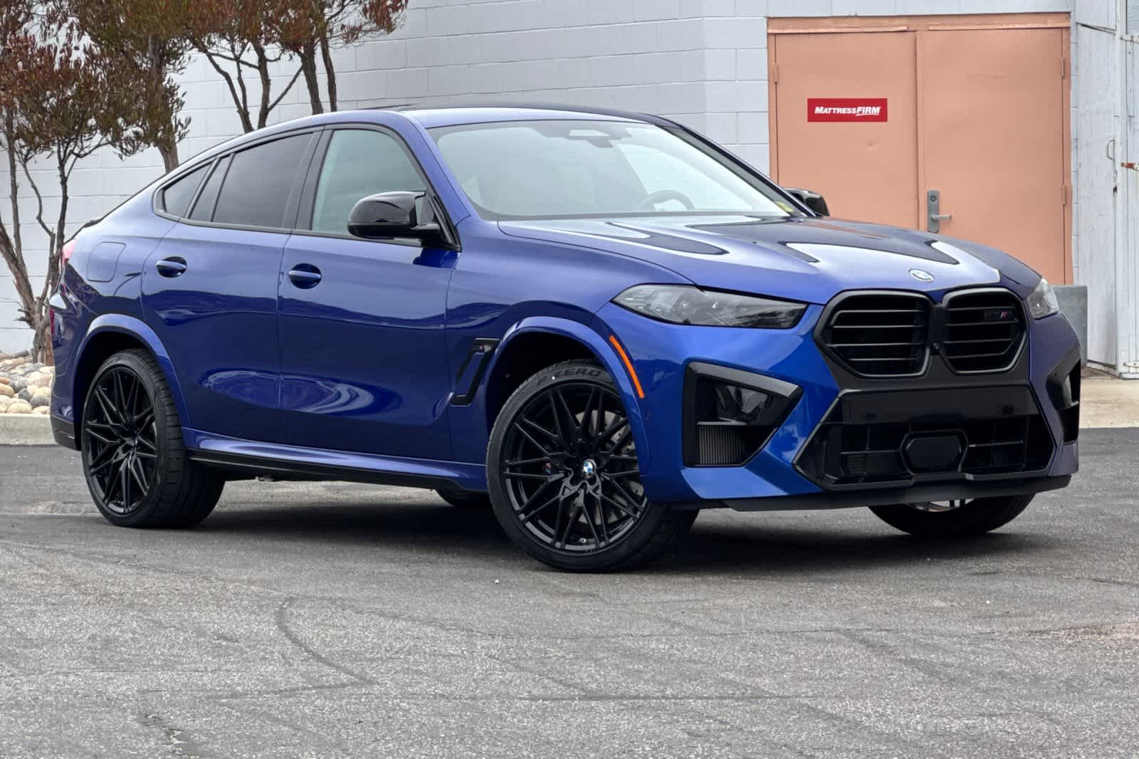 Thumbnail: 2024 BMW X6 - 5