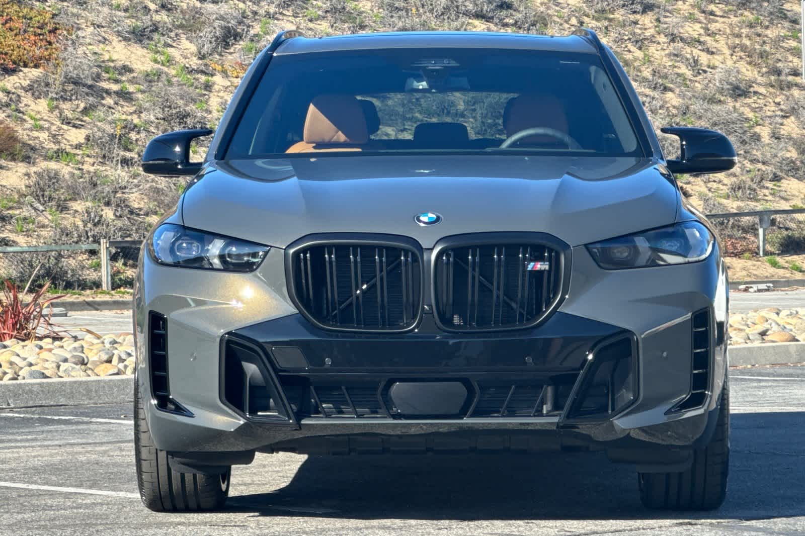 Thumbnail: 2026 BMW X5 - 10