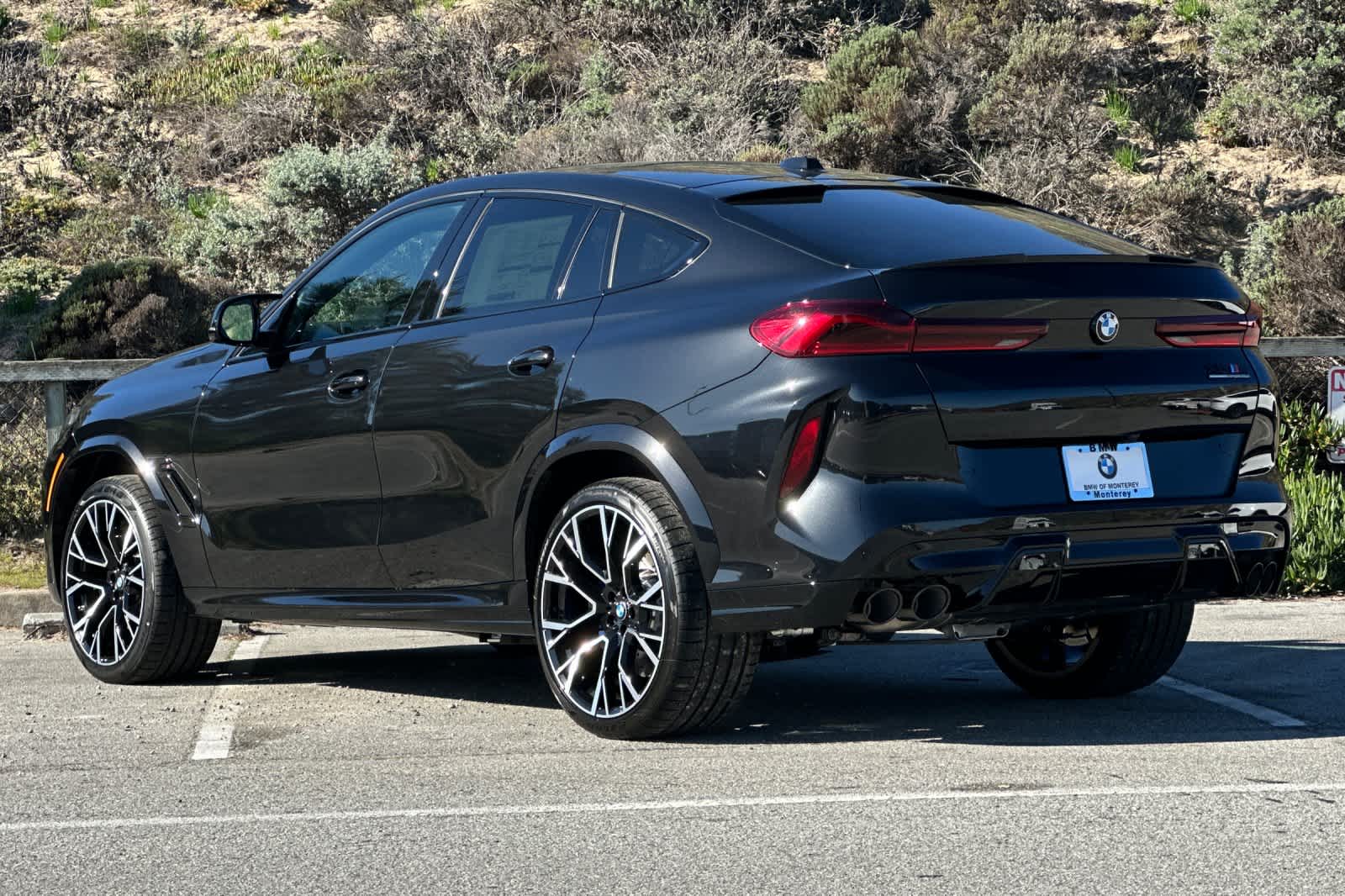 Thumbnail: 2026 BMW X6 - 6