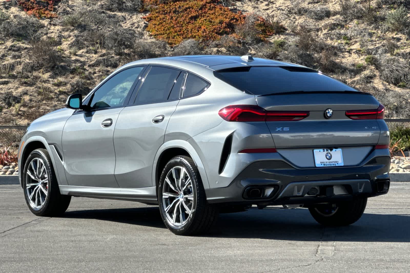 Thumbnail: 2026 BMW X6 - 6