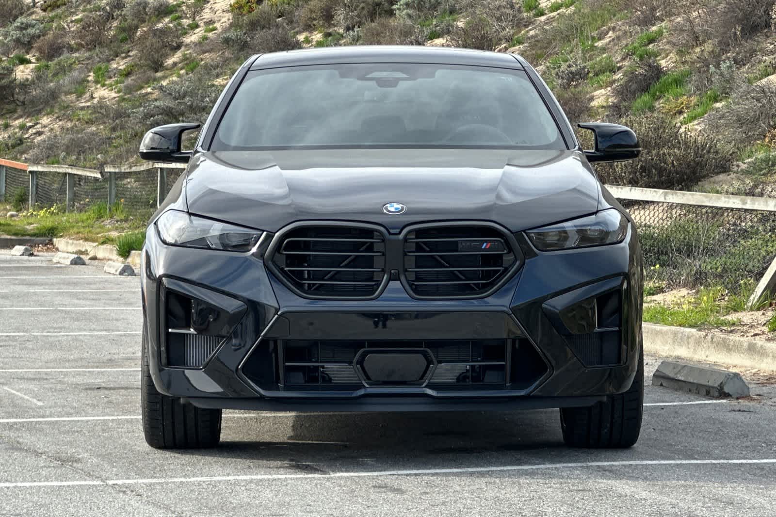 Thumbnail: 2026 BMW X6 - 10