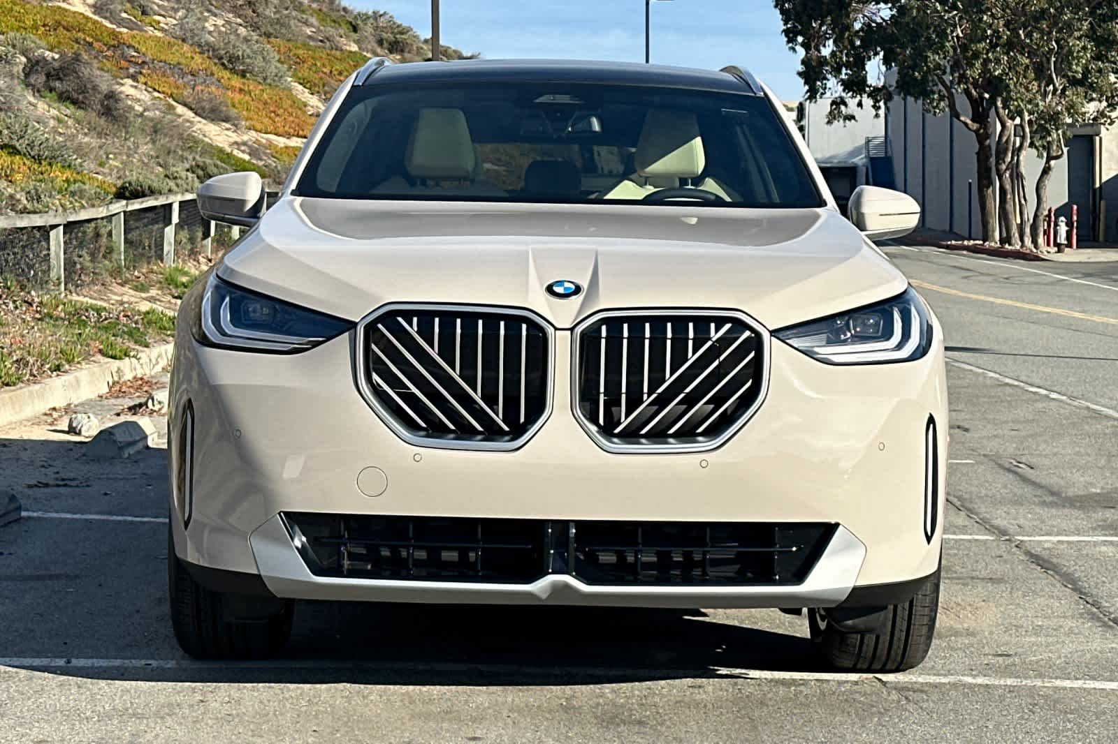 Thumbnail: 2026 BMW X3 - 10