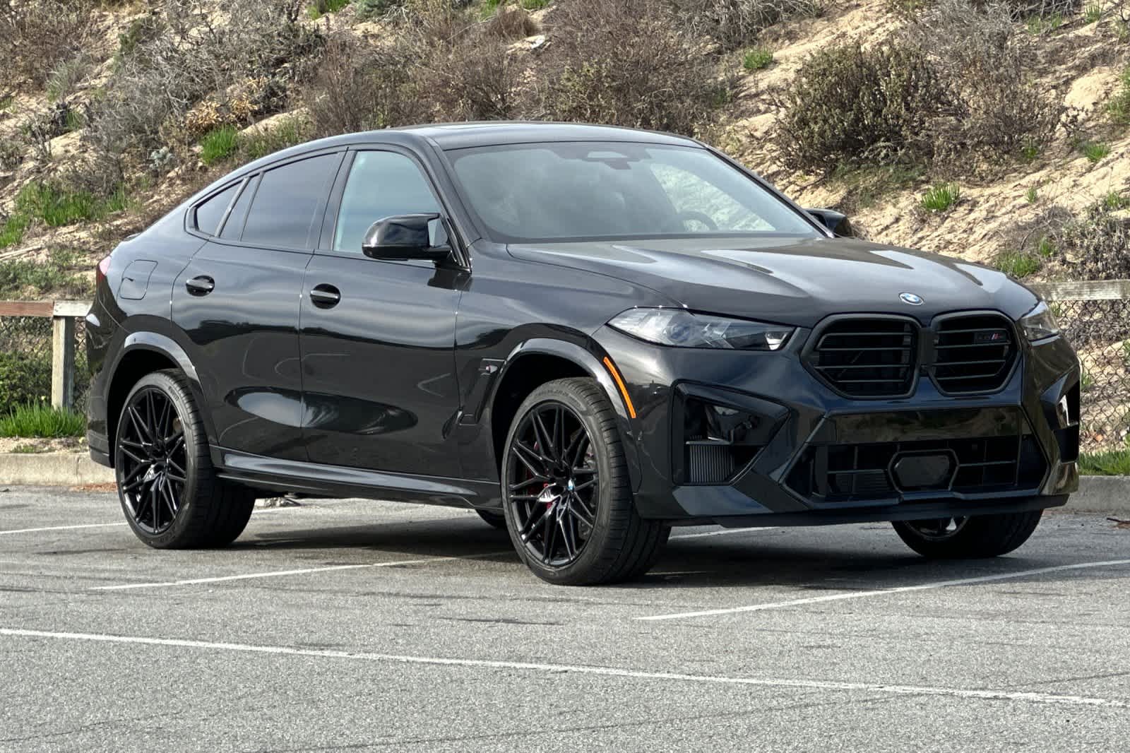 Thumbnail: 2026 BMW X6 - 9