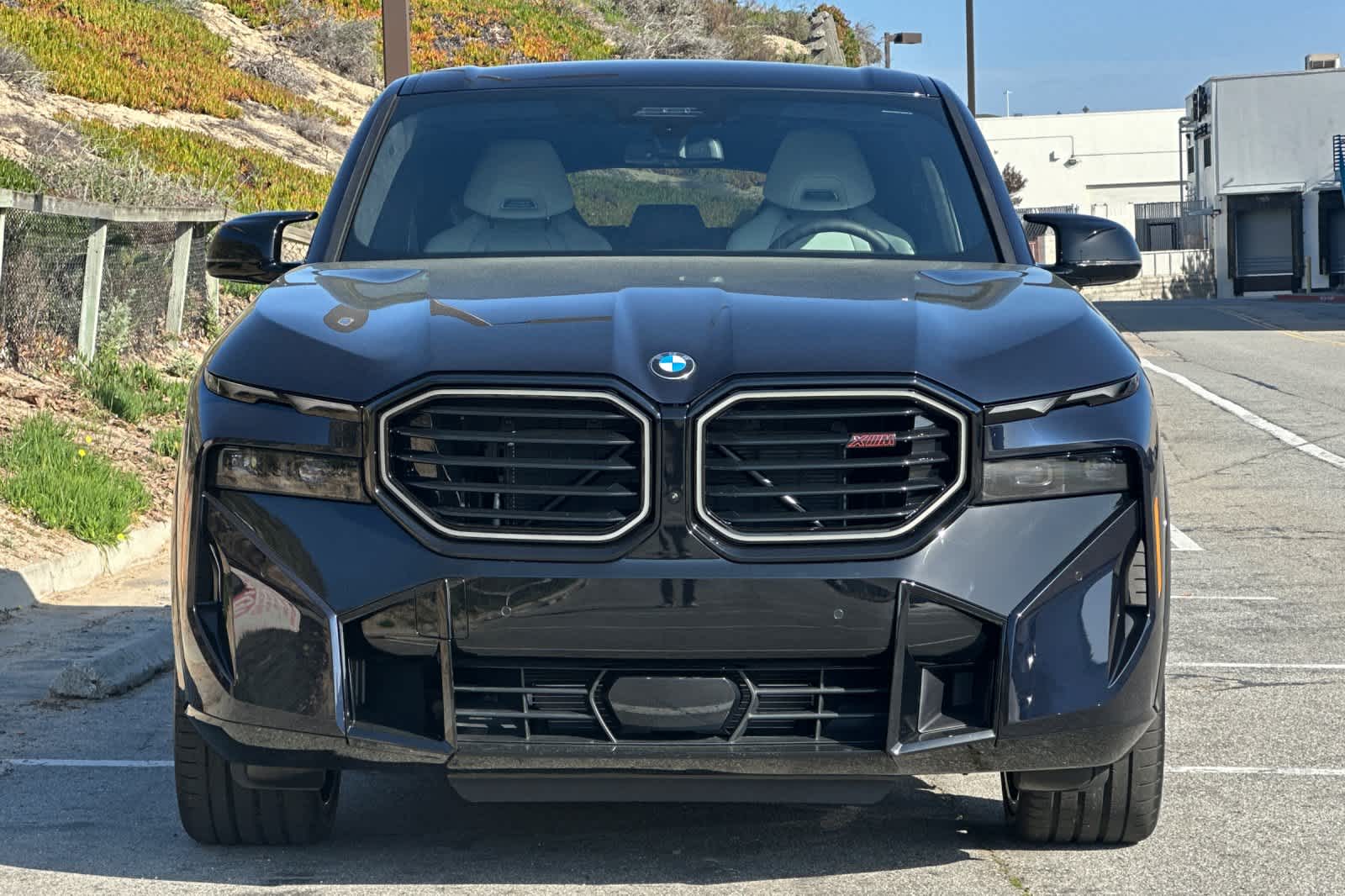 Thumbnail: 2026 BMW XM - 10