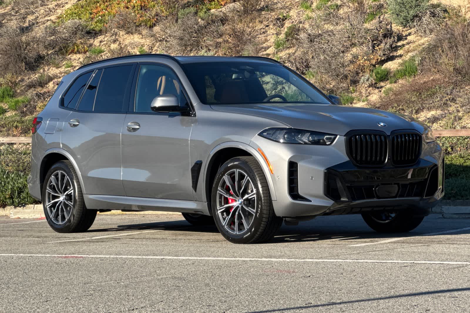 Thumbnail: 2026 BMW X5 - 9