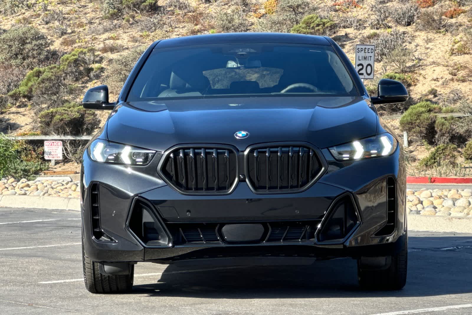 Thumbnail: 2026 BMW X6 - 10