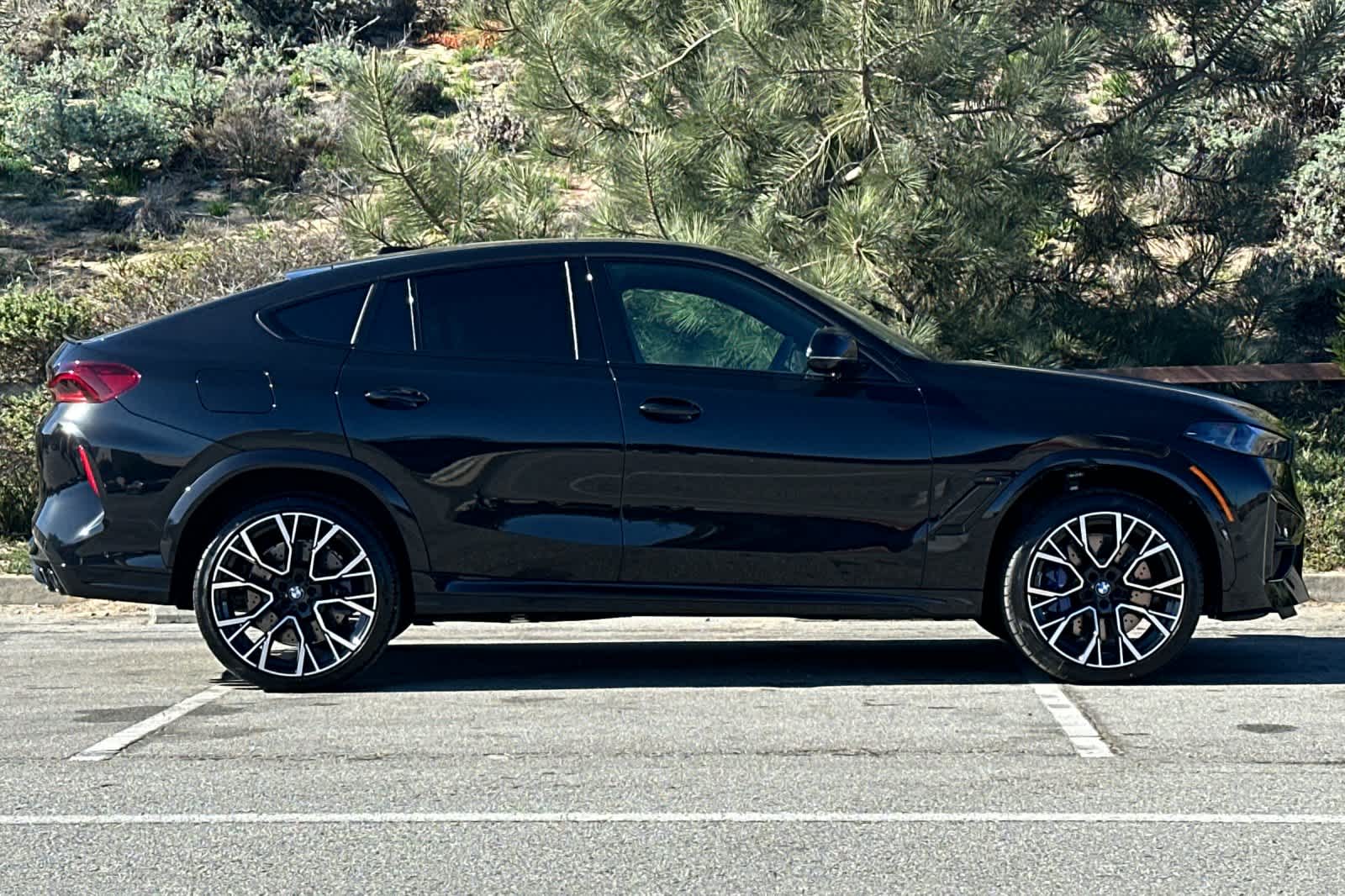 Thumbnail: 2026 BMW X6 - 8
