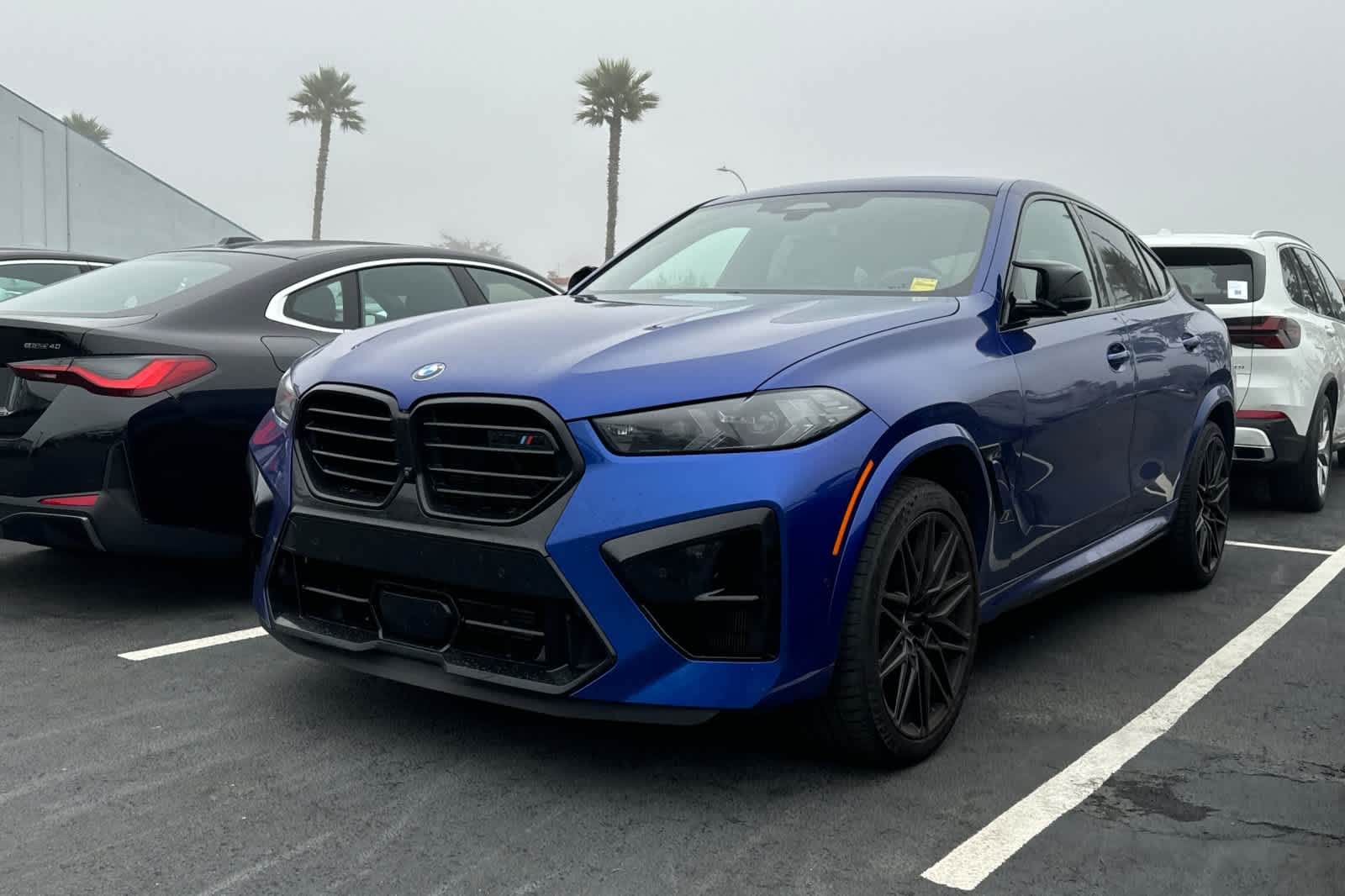 Thumbnail: 2024 BMW X6 - 8