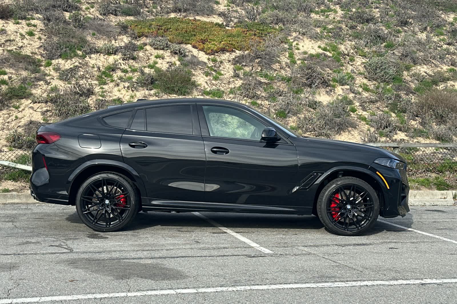 Thumbnail: 2026 BMW X6 - 8