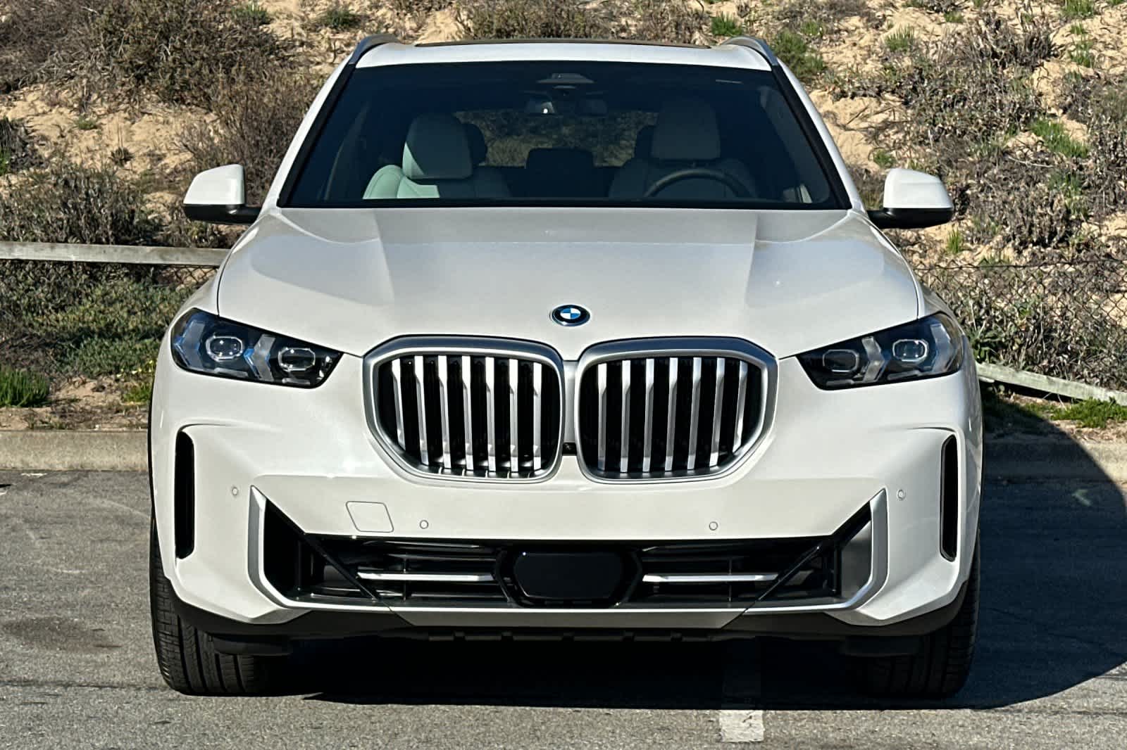Thumbnail: 2026 BMW X5 - 10