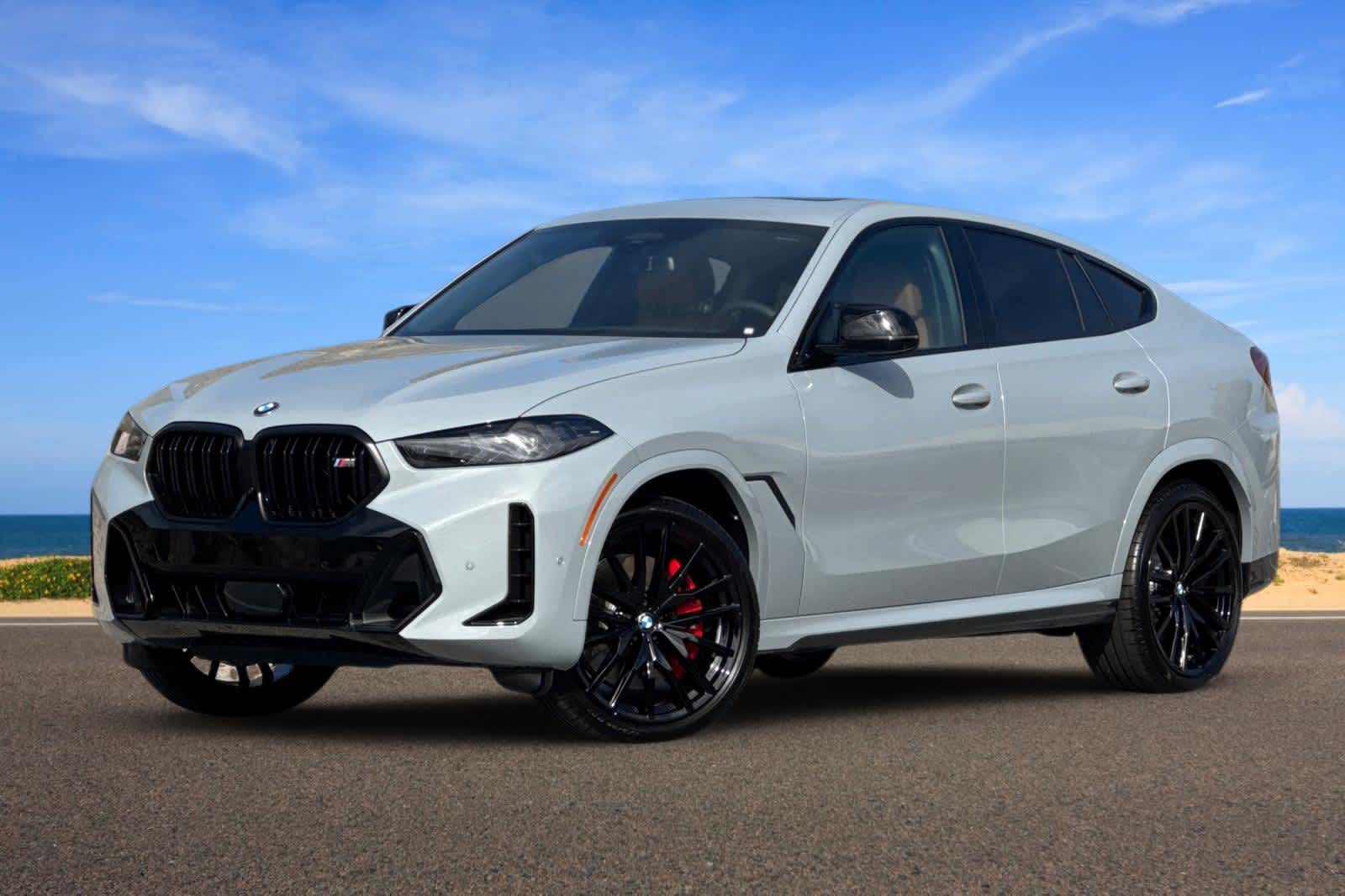 2026 BMW X6 M60i's photo