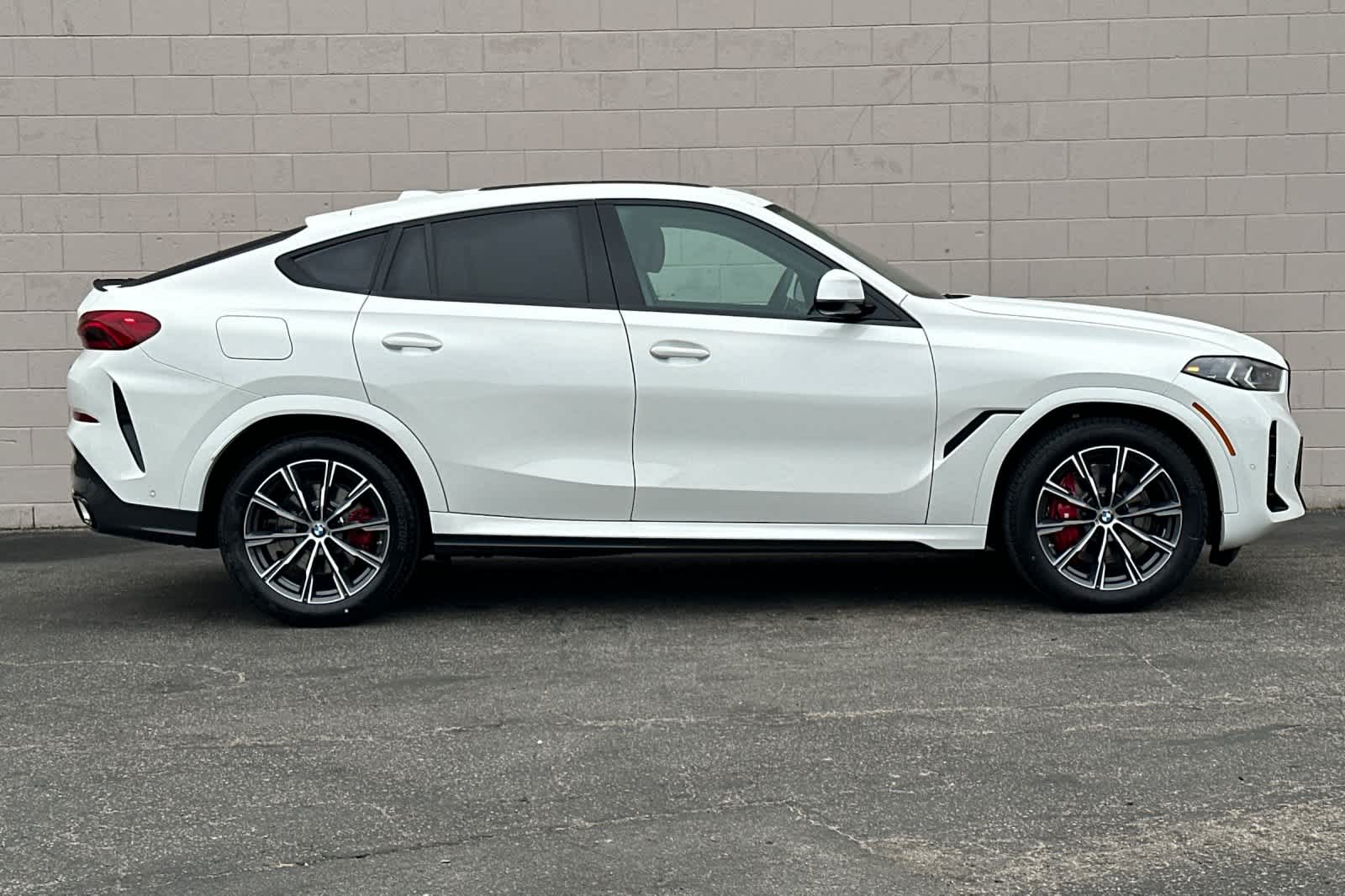 Thumbnail: 2026 BMW X6 - 8