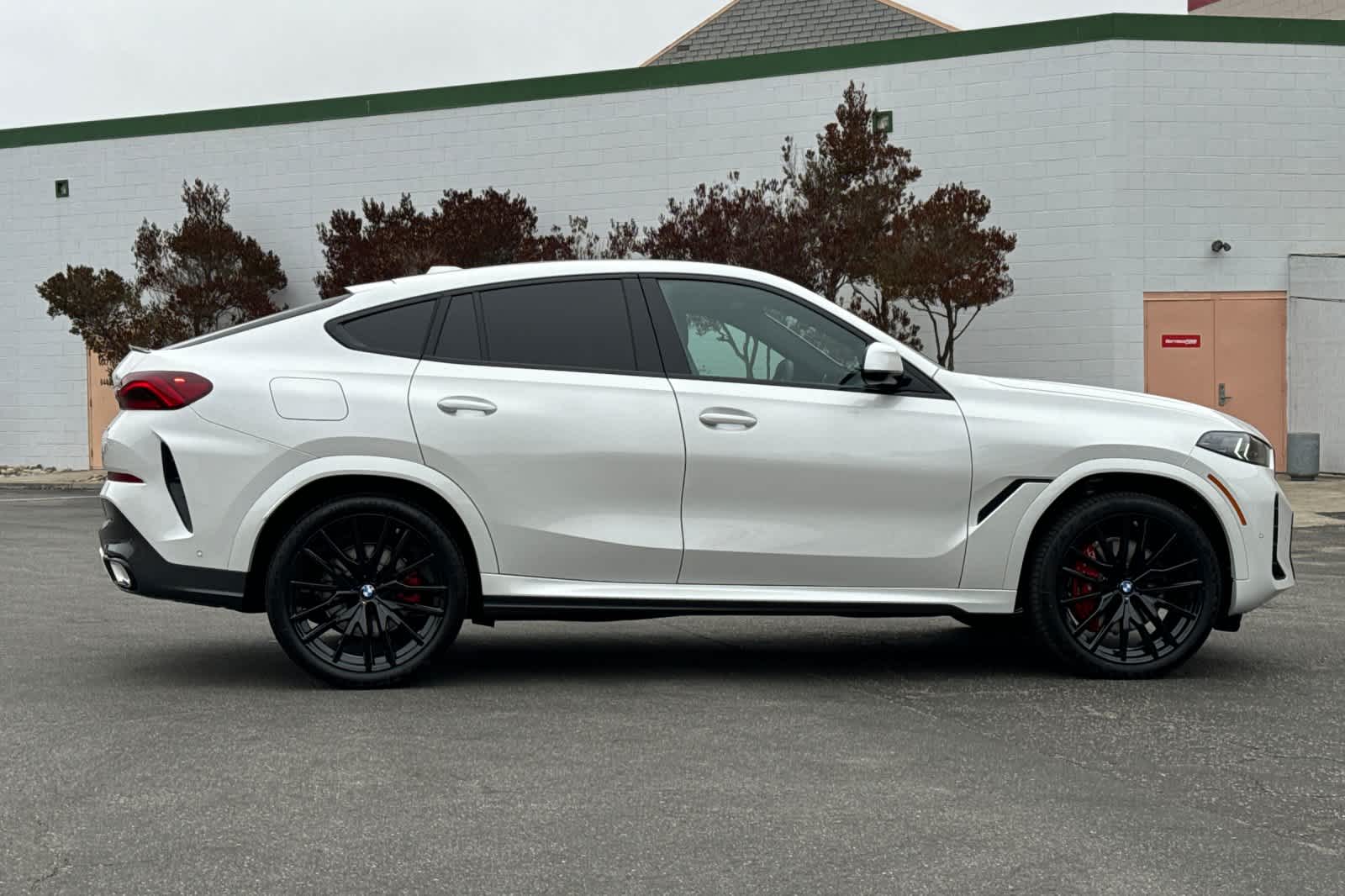 Thumbnail: 2026 BMW X6 - 8