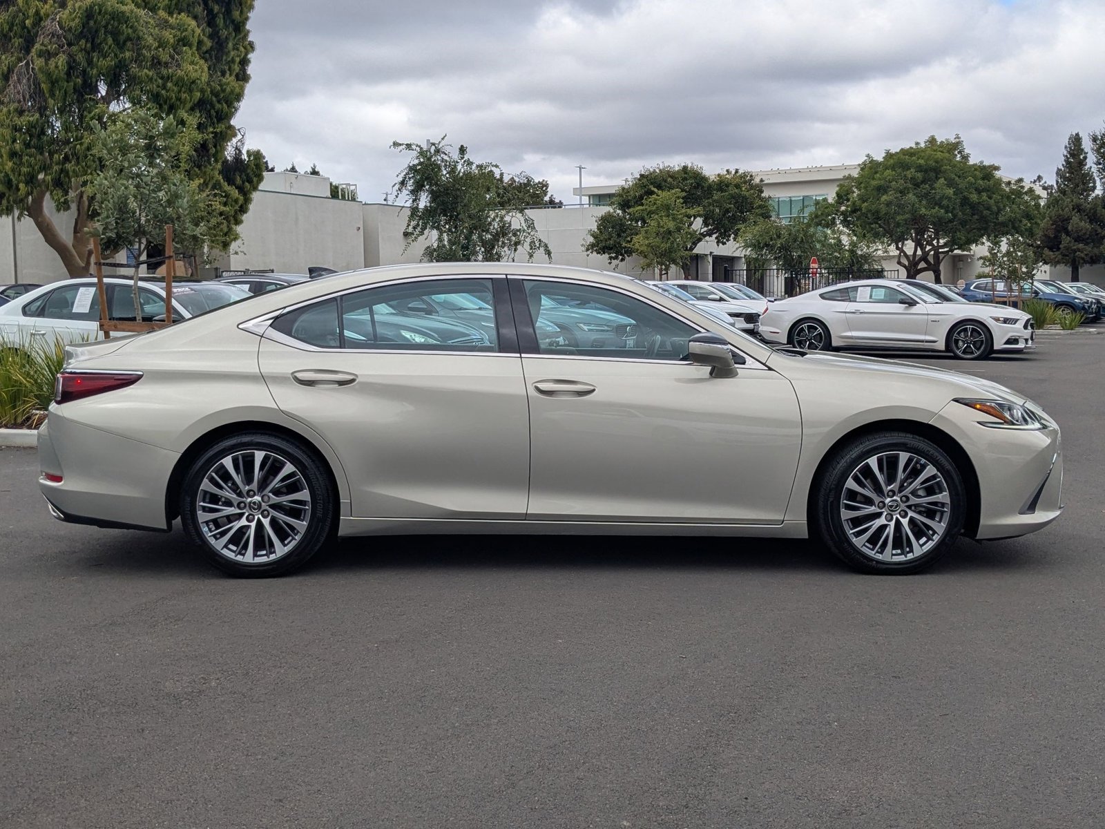 2020 Lexus ES 350 Premium photo 4