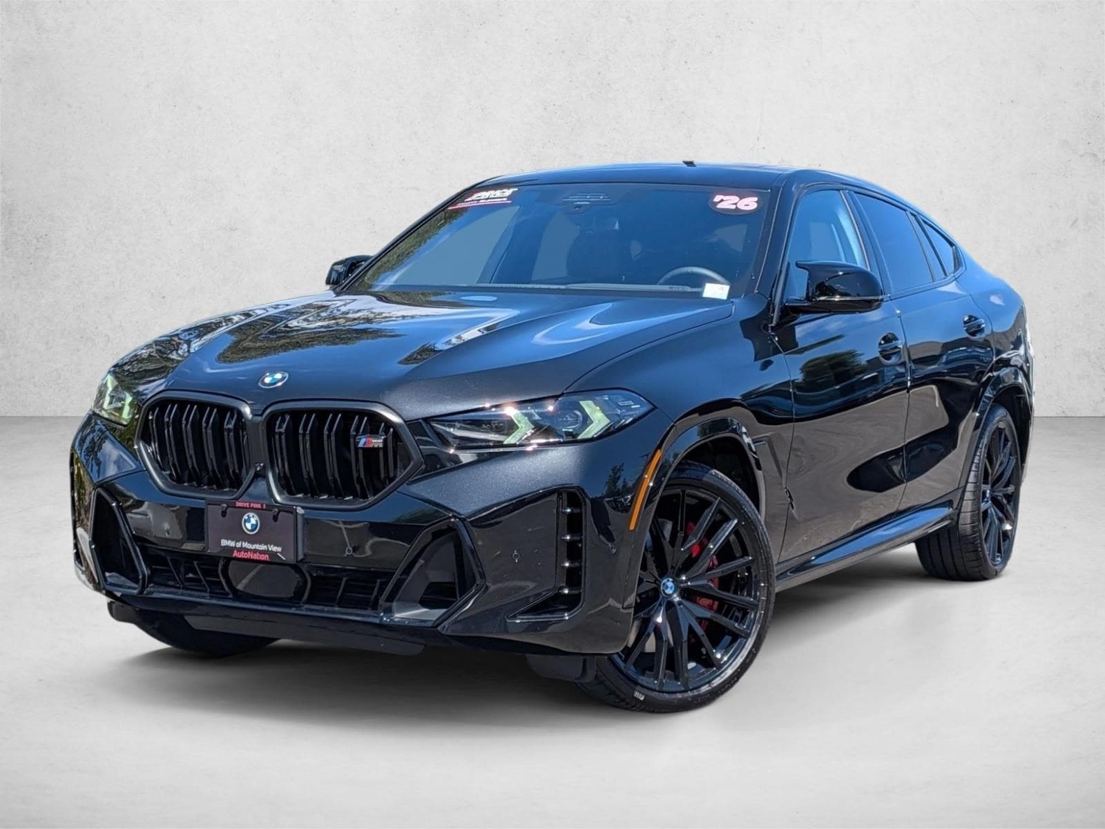 2026 BMW X6