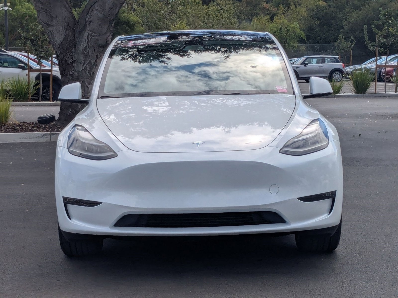 Used 2024 Tesla Model Y Long Range with VIN 7SAYGDEE8RF057834 for sale in Northfield, Minnesota