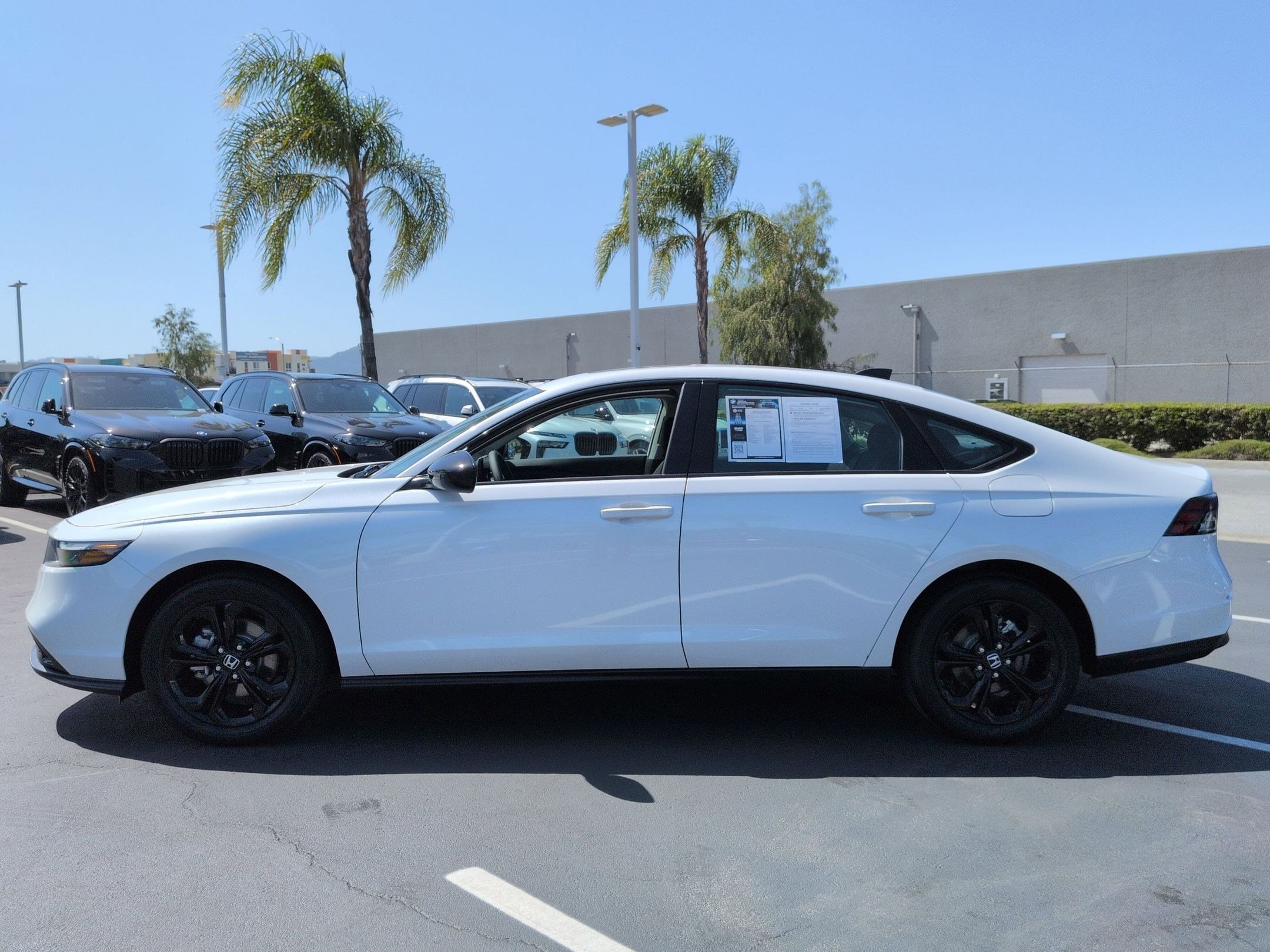 2025 Honda Accord SE photo 6