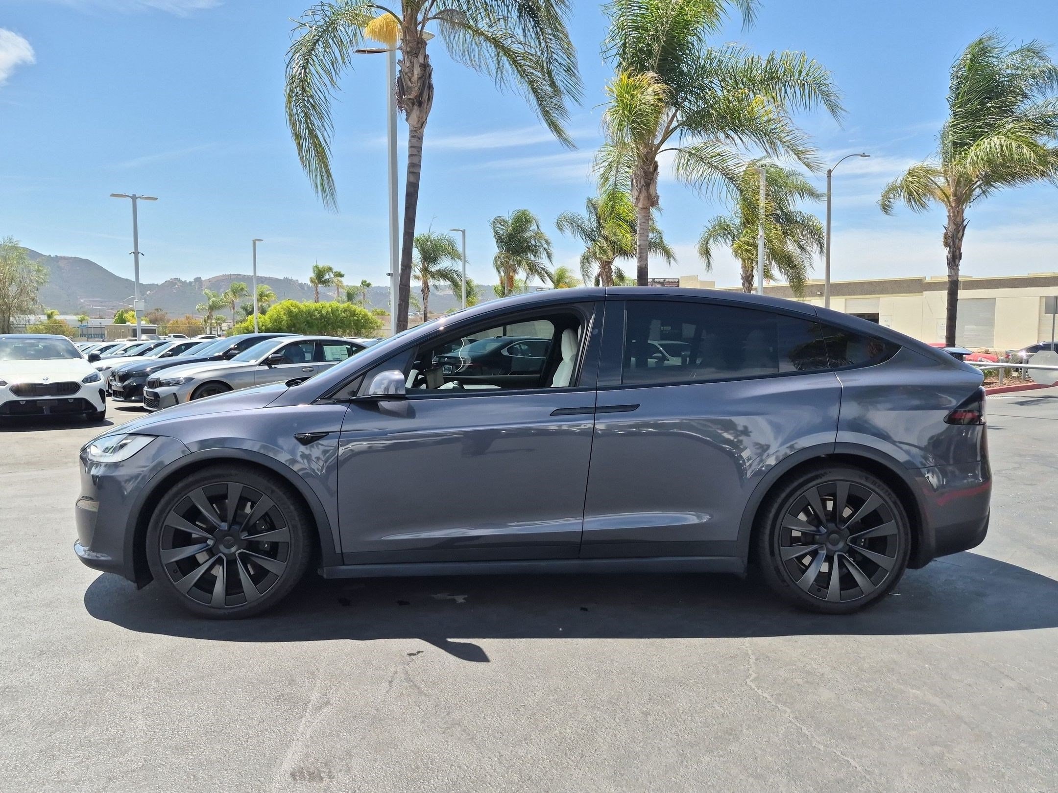 Tesla Model X Plaid