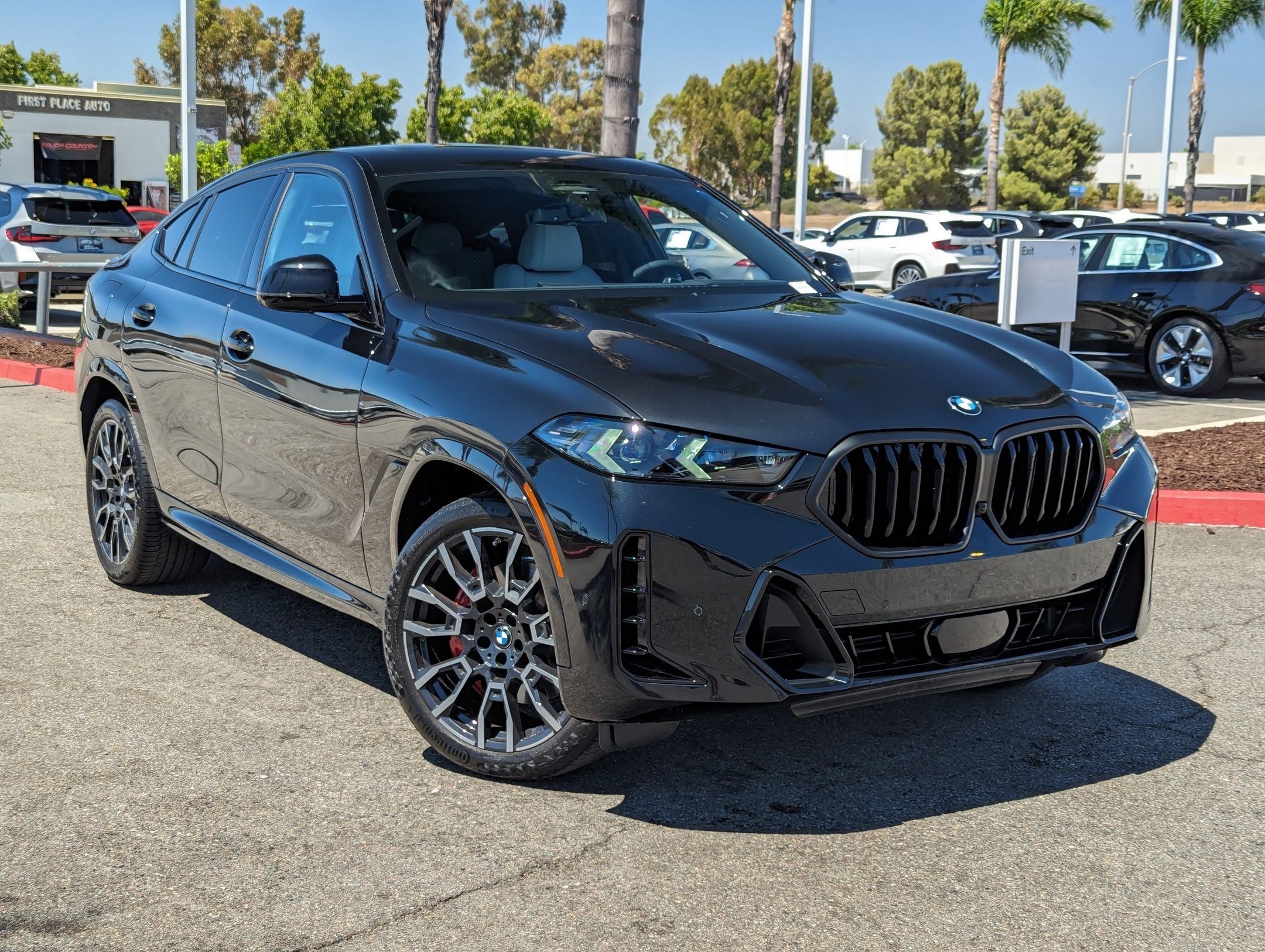 2025 BMW X6 xDrive40i