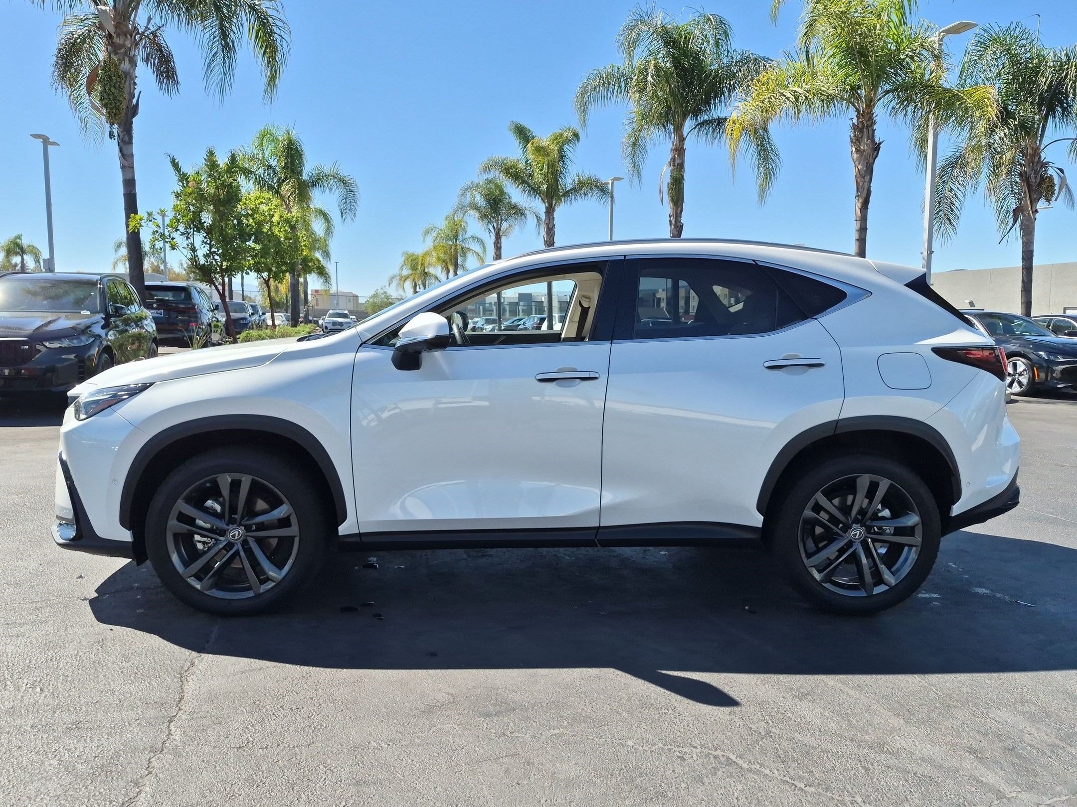 LEXUS NX NX 450h+ Luxury