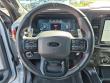 2025 Ford F-150 Raptor Pickup