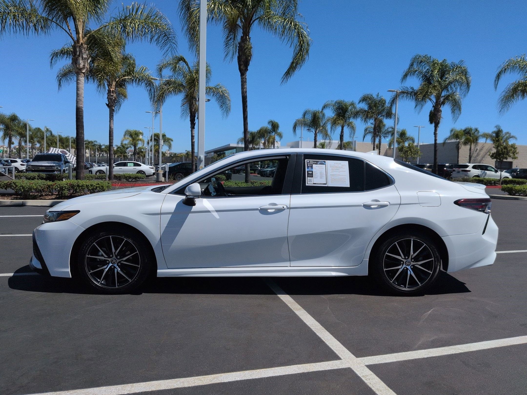 2023 Toyota Camry SE photo 6