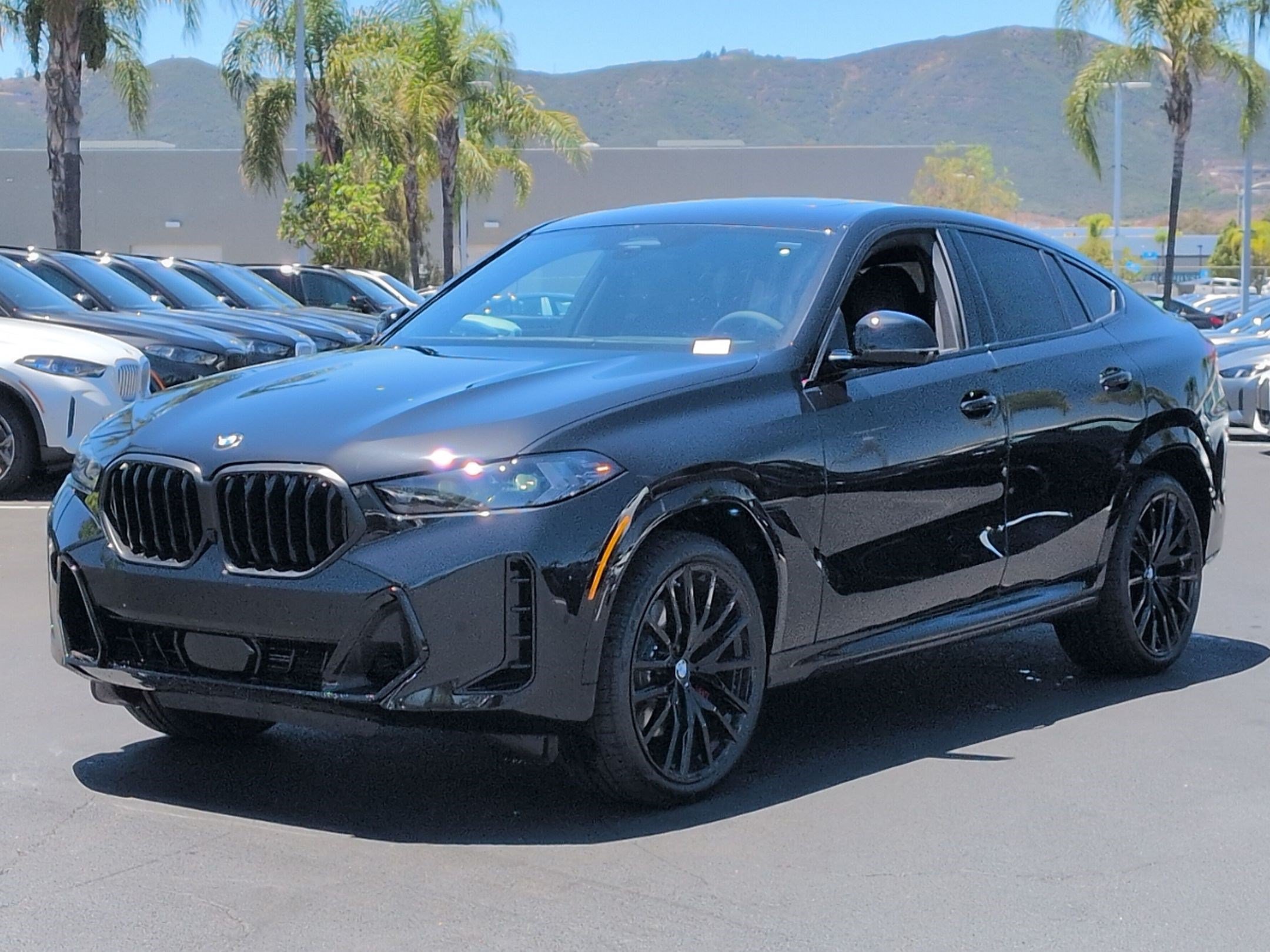 BMW X6 XDrive40i