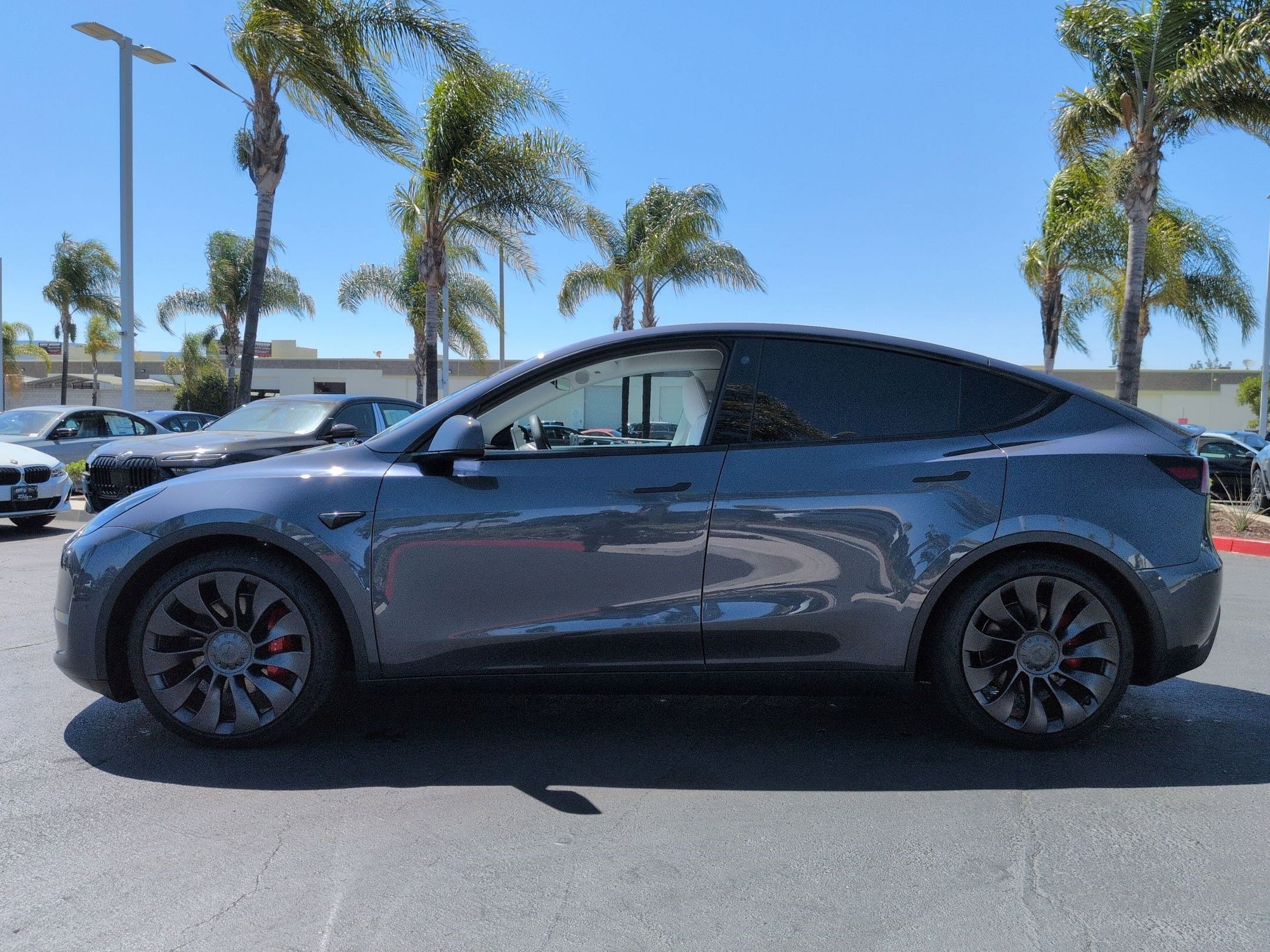 Tesla Model Y Performance