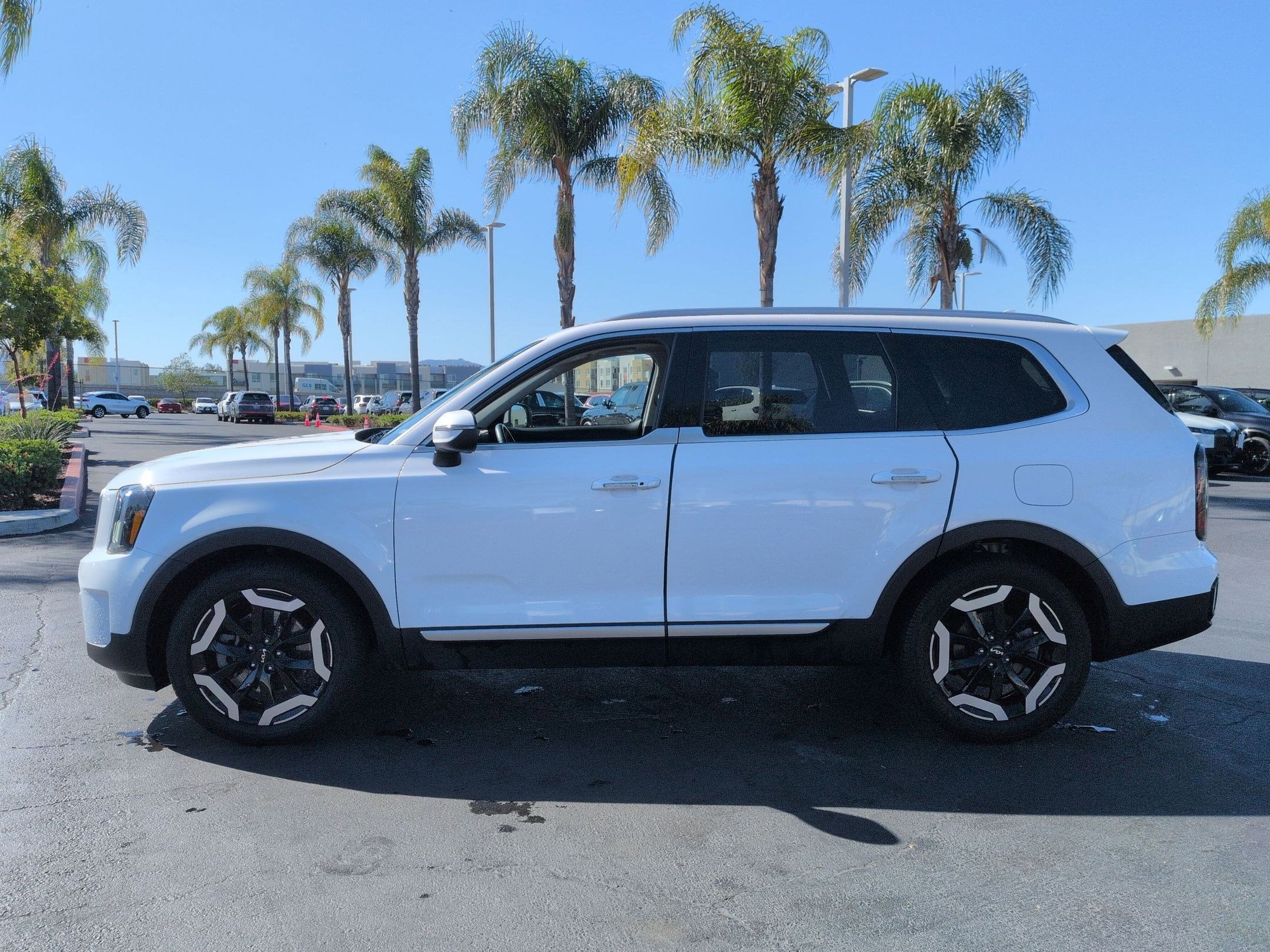 2023 Kia Telluride EX photo 5