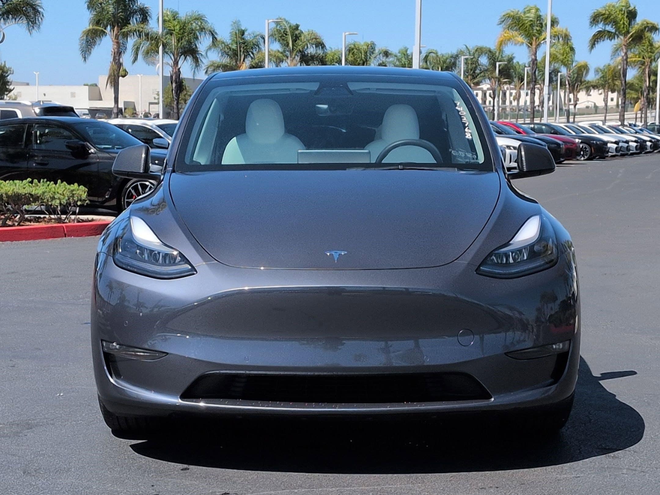 Tesla Model Y Performance