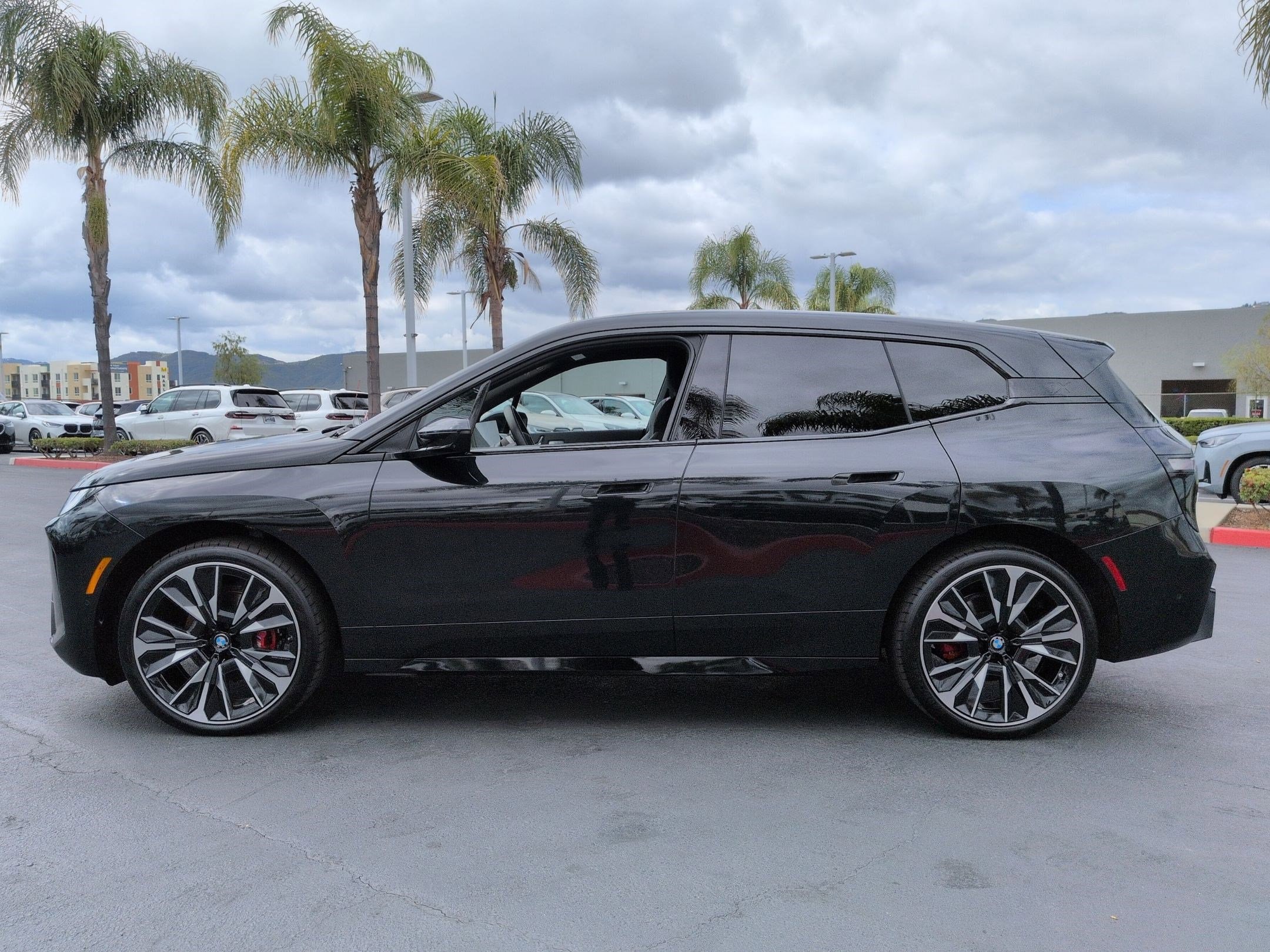 2026 BMW iX xDrive60 photo 5
