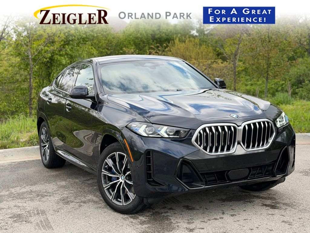 2024 BMW X6
