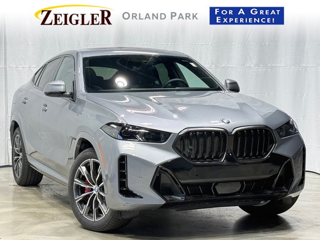 2026 BMW X6